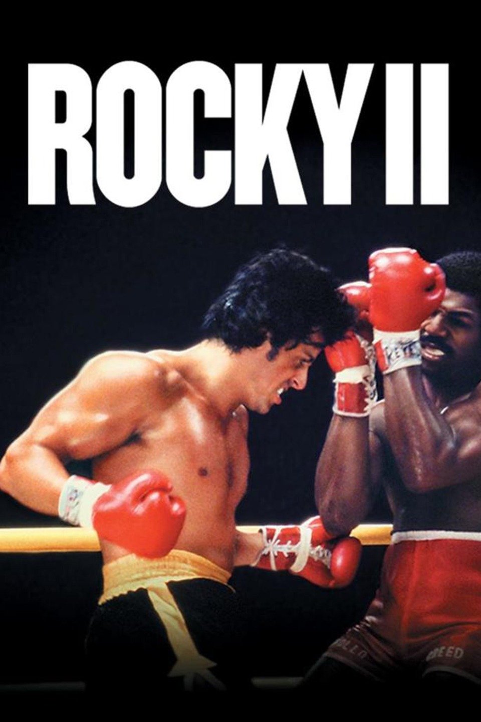 Rocky Ii Official Clip Yo Adrian I Did It Trailers Videos Rotten Tomatoes