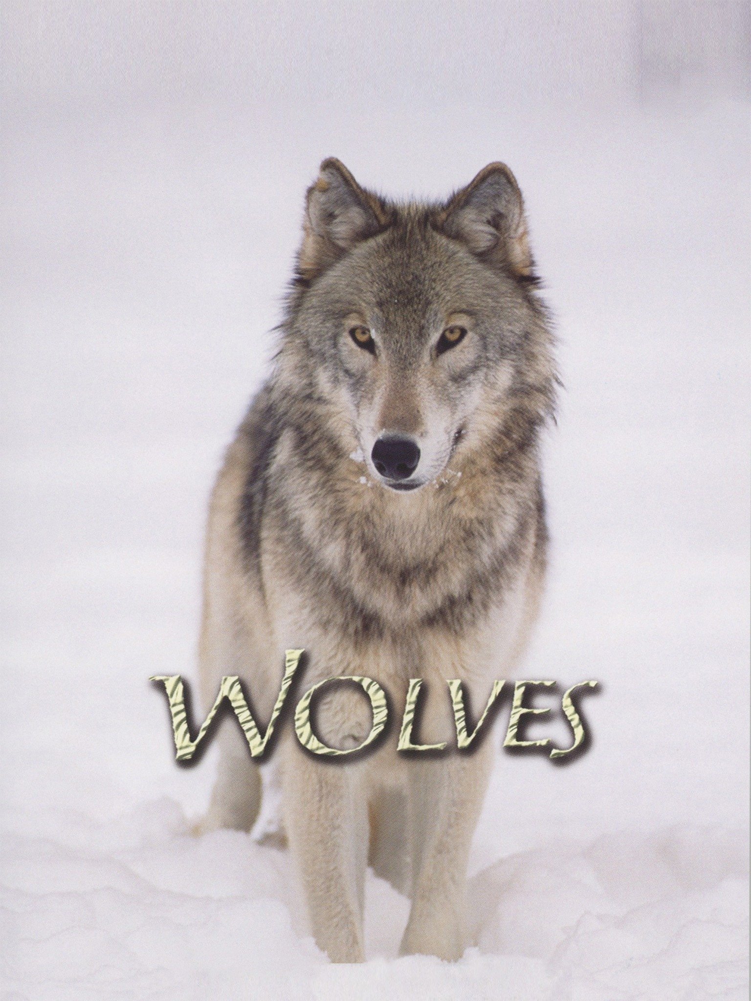 wolves-pictures-rotten-tomatoes