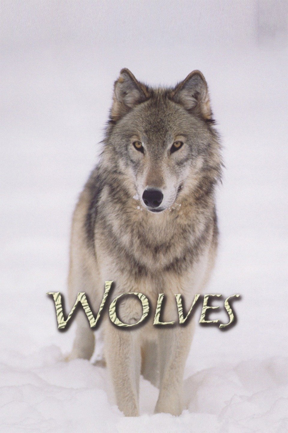 Wolves Pictures Rotten Tomatoes