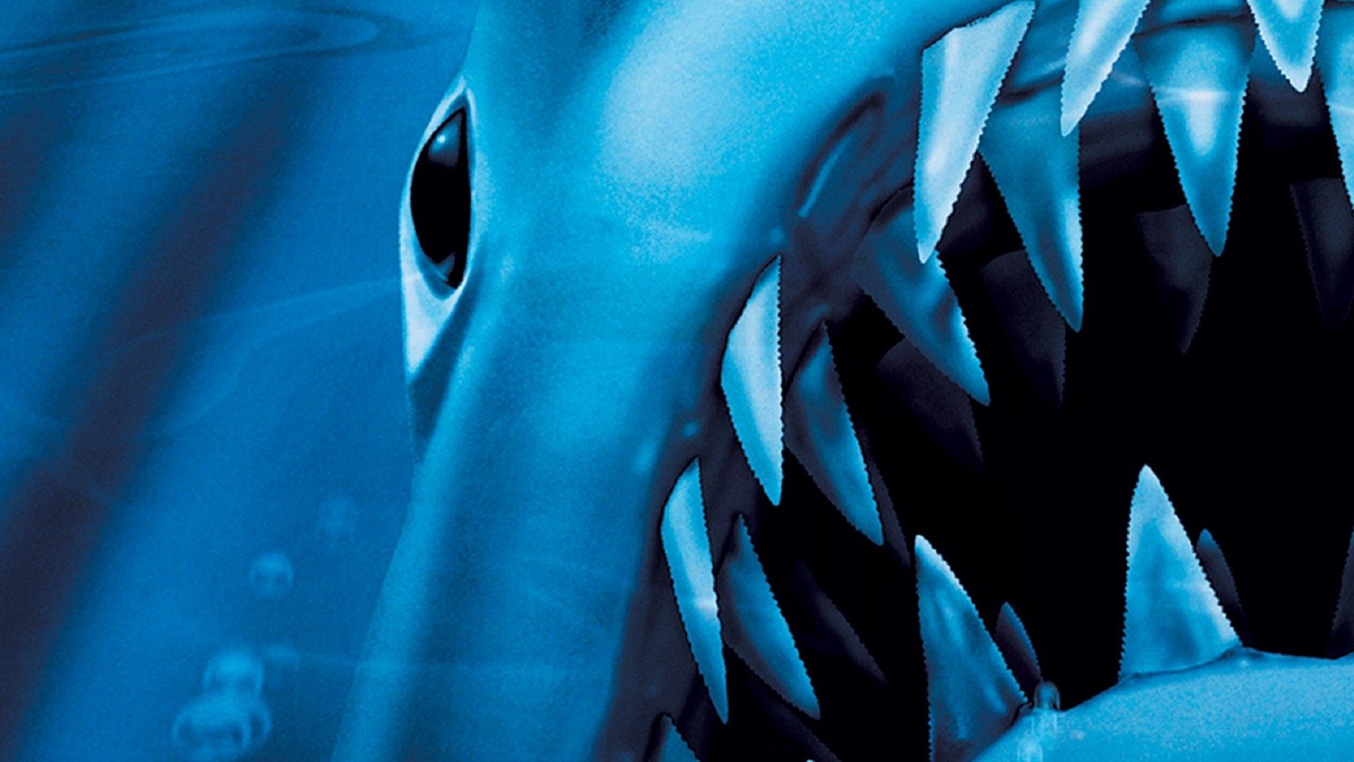 Awesome Moments from the Best Shark Movies Trailers & Videos Rotten