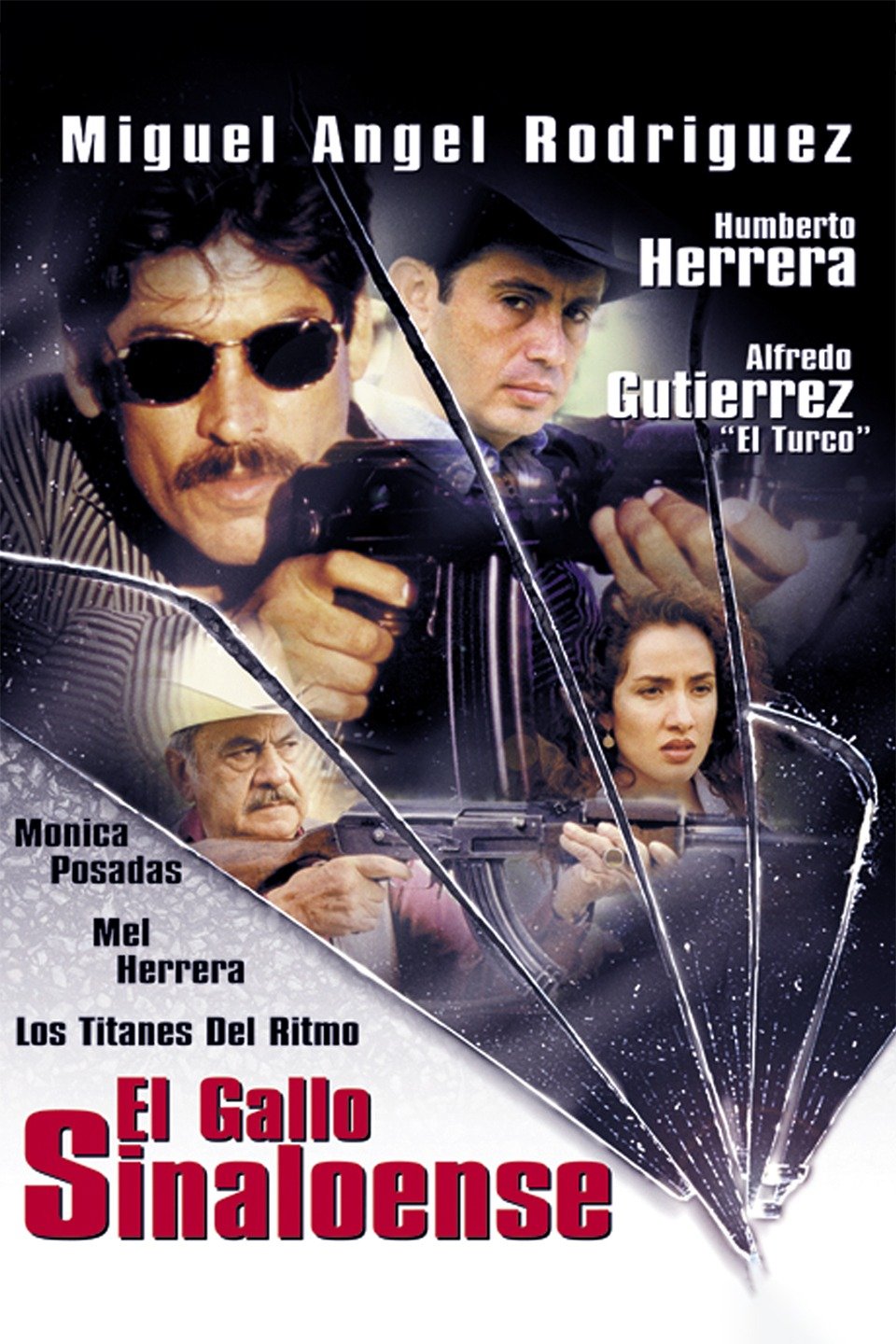 El gallo sinaloense Rotten Tomatoes