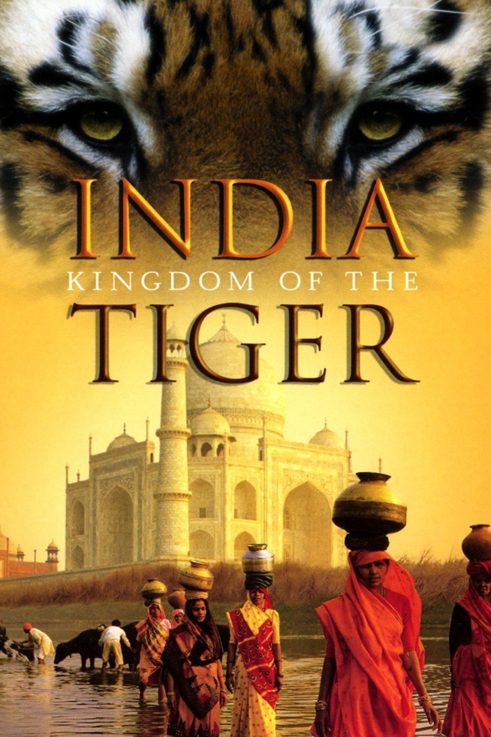 india kingdom of the tiger