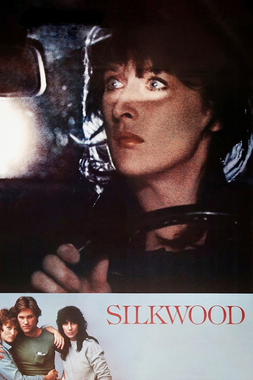 Silkwood Rotten Tomatoes