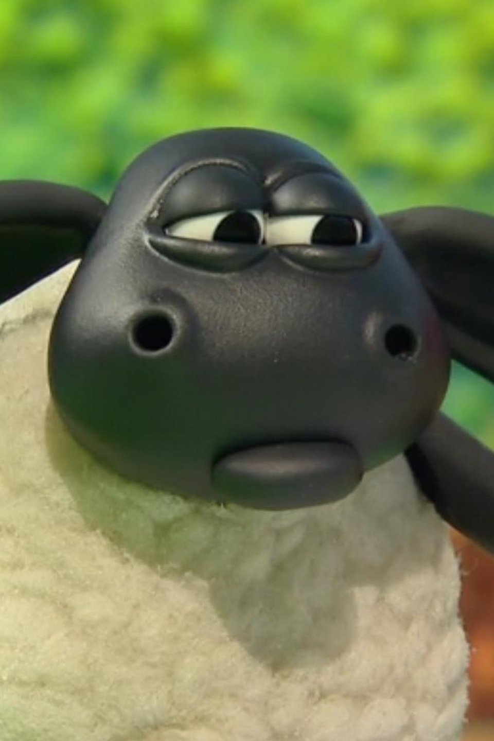 Timmy's Jigsaw Pictures Rotten Tomatoes