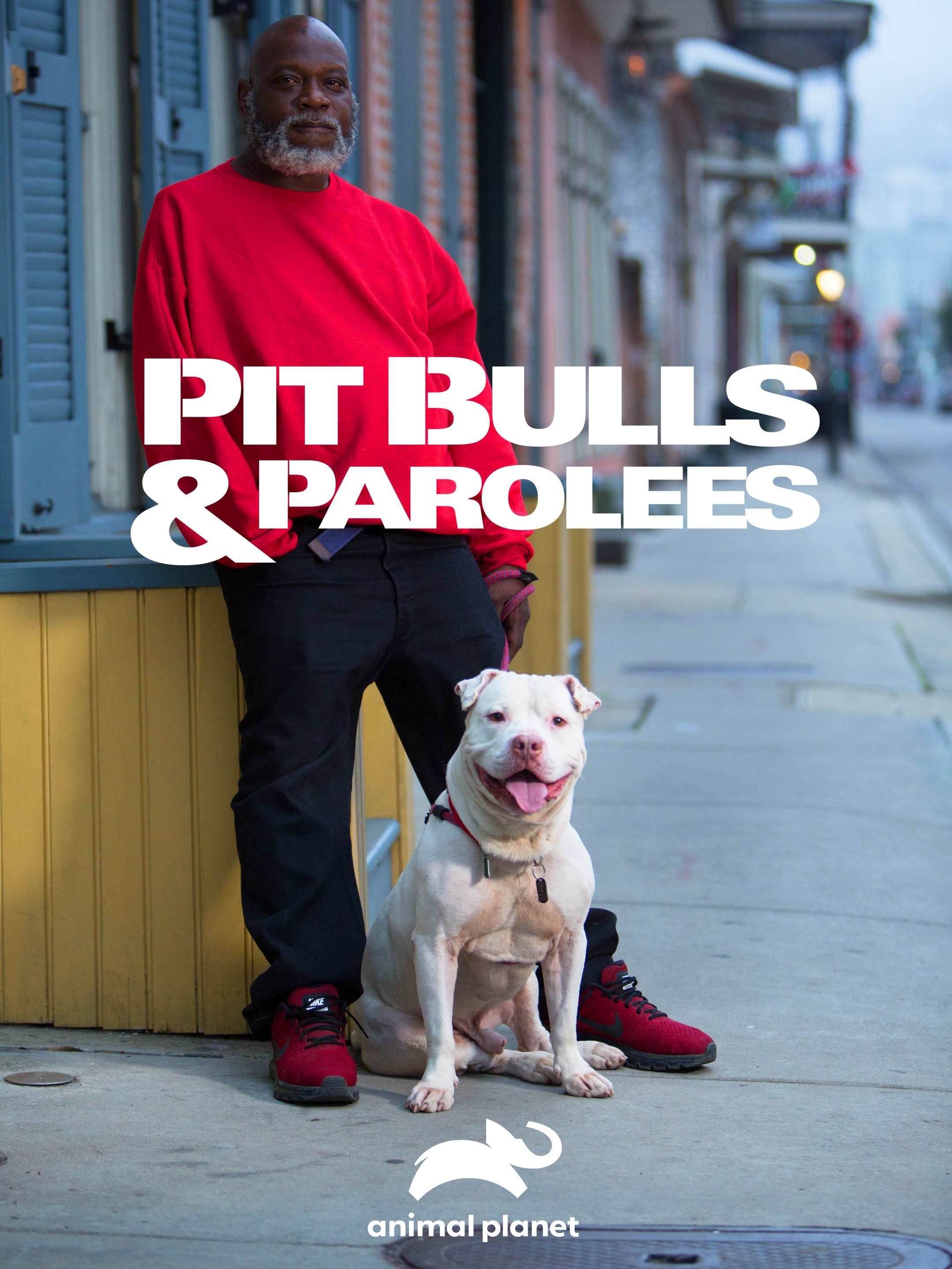 Pit Bulls and Parolees (TV Series 2009– ) - IMDb