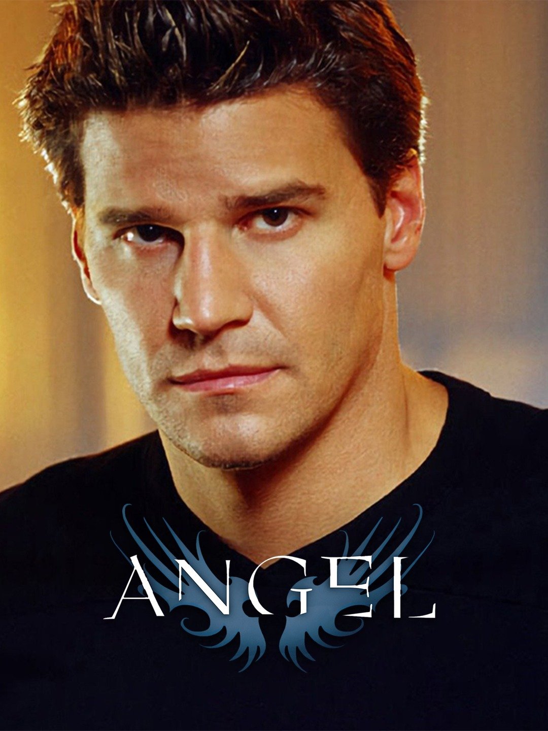 David Boreanaz Angel Season 1