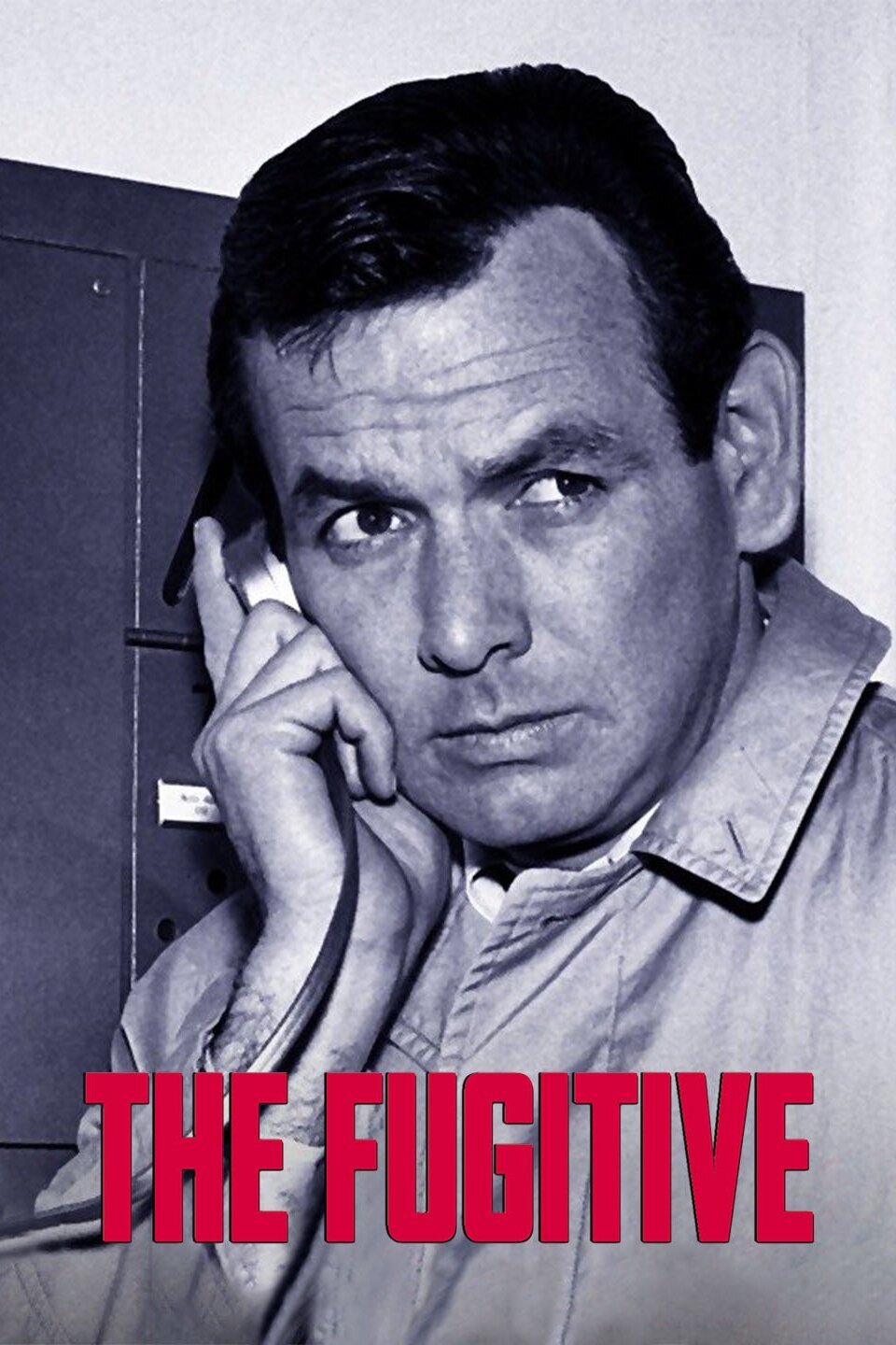 The Fugitive - Rotten Tomatoes