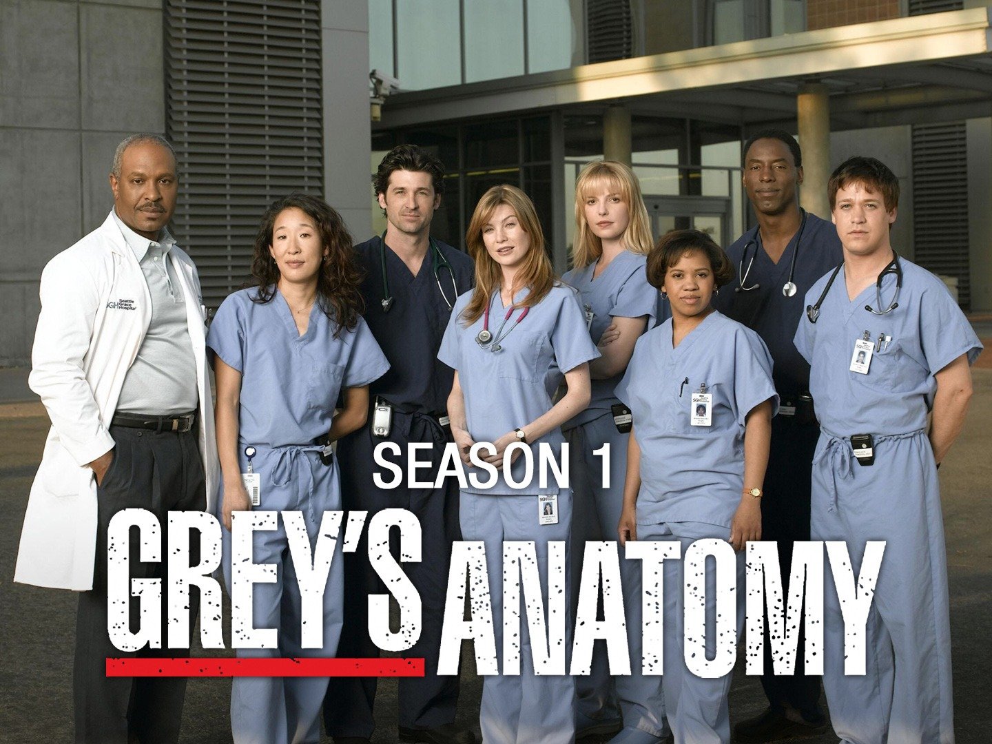 who gets pregnant in grey anatomy season 1