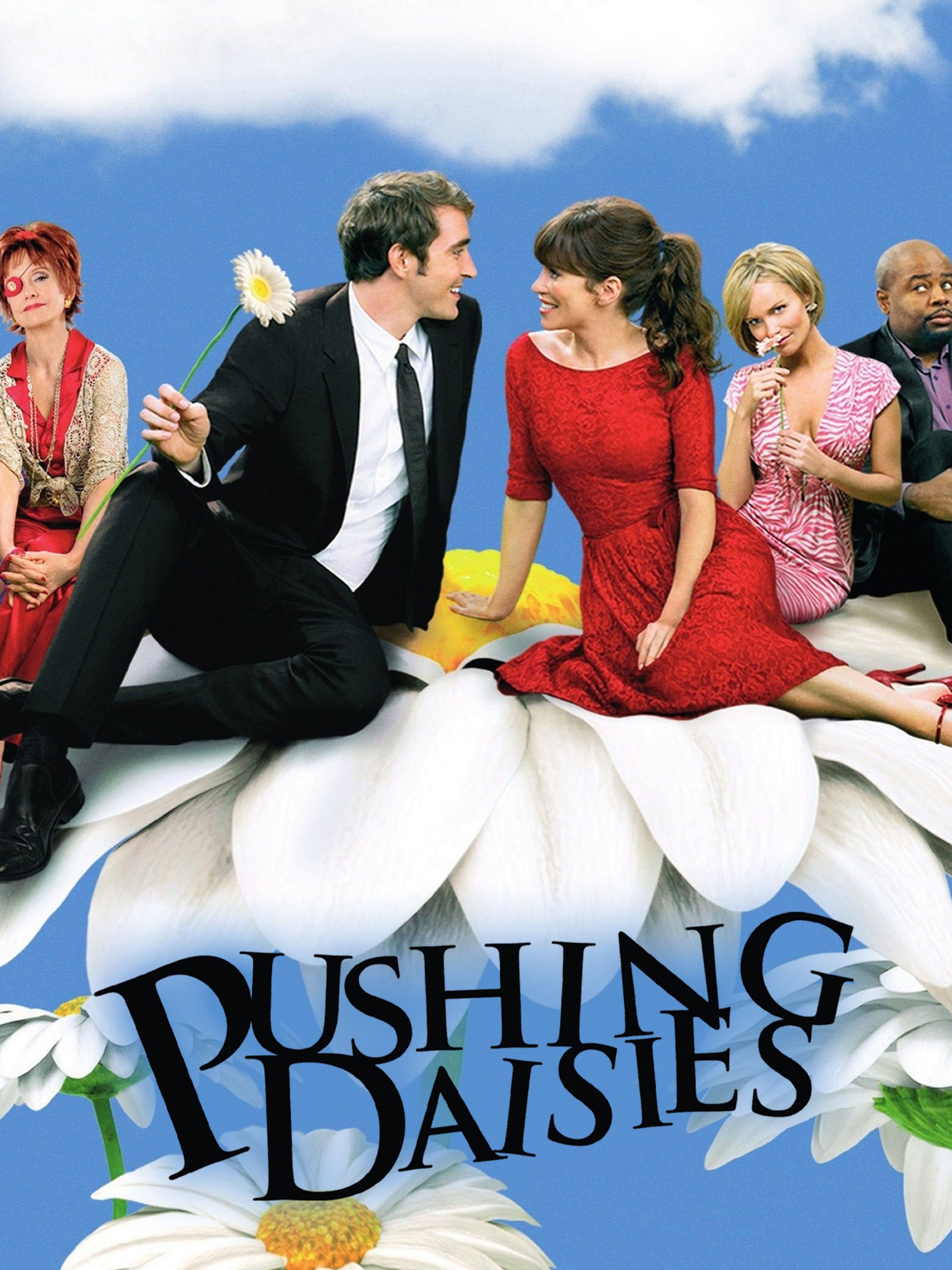 Definition Of Pushing Up Daisies