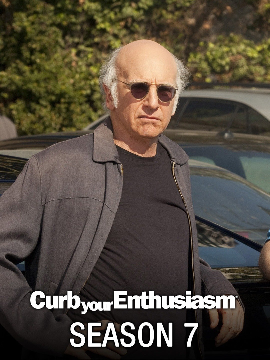 tv reviews curb your enthusiasm season 7 curb your enthusiasm: