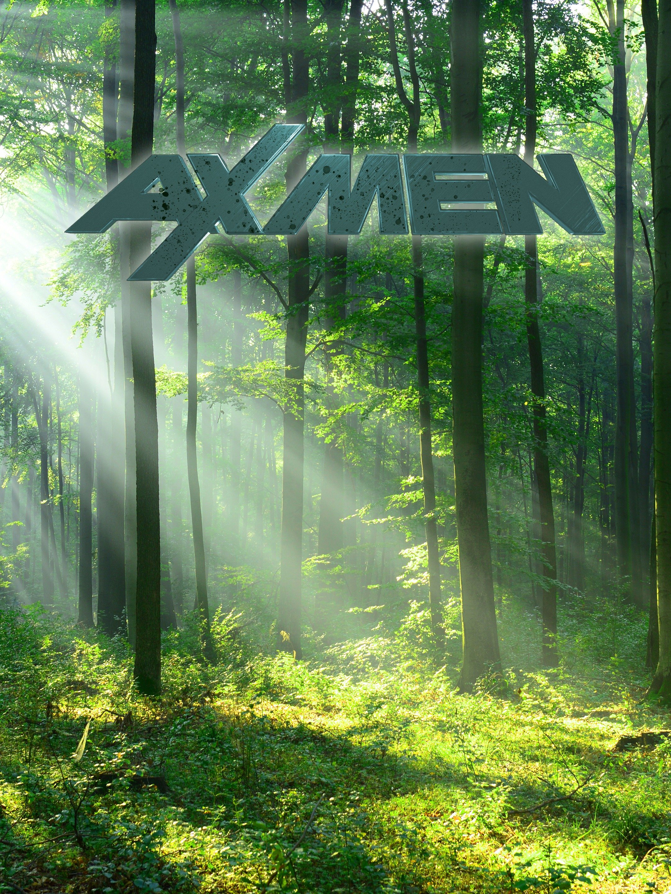 Ax Men Rotten Tomatoes