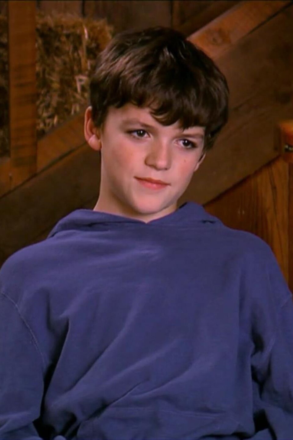 Brothers in Bavaria Pictures Rotten Tomatoes