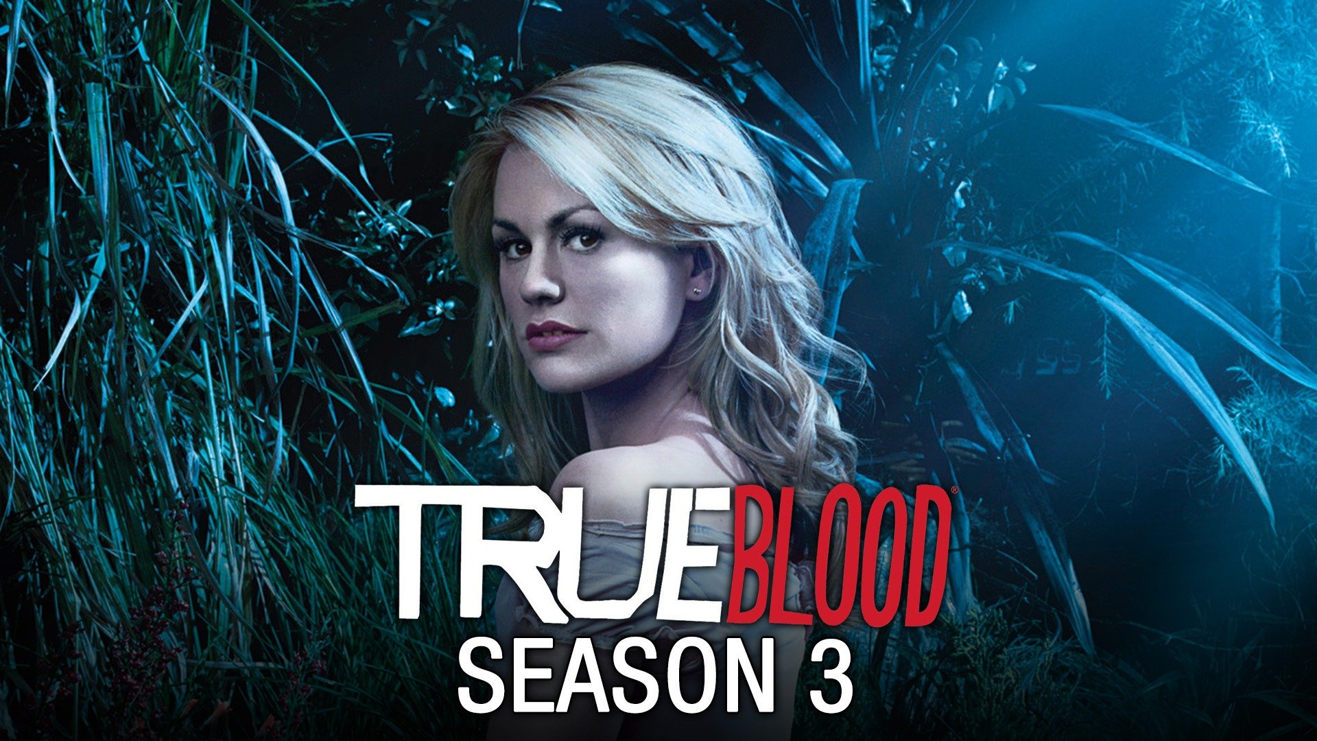 true blood season 3 synopsis