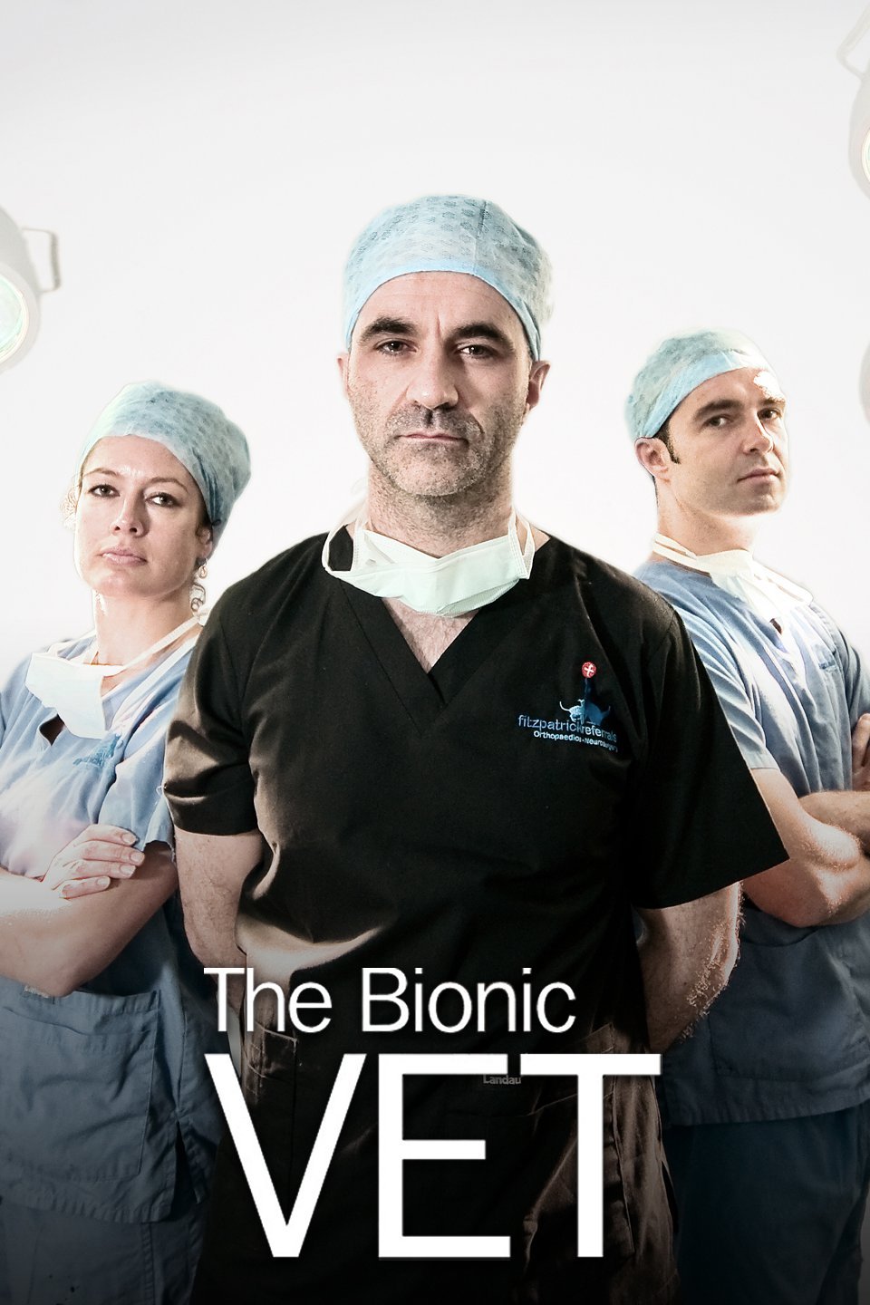 The Bionic Vet Rotten Tomatoes