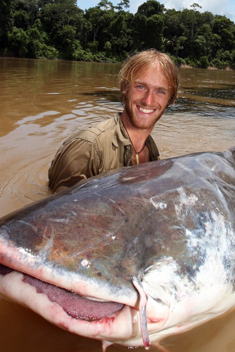 Colossal Catfish Pictures Rotten Tomatoes