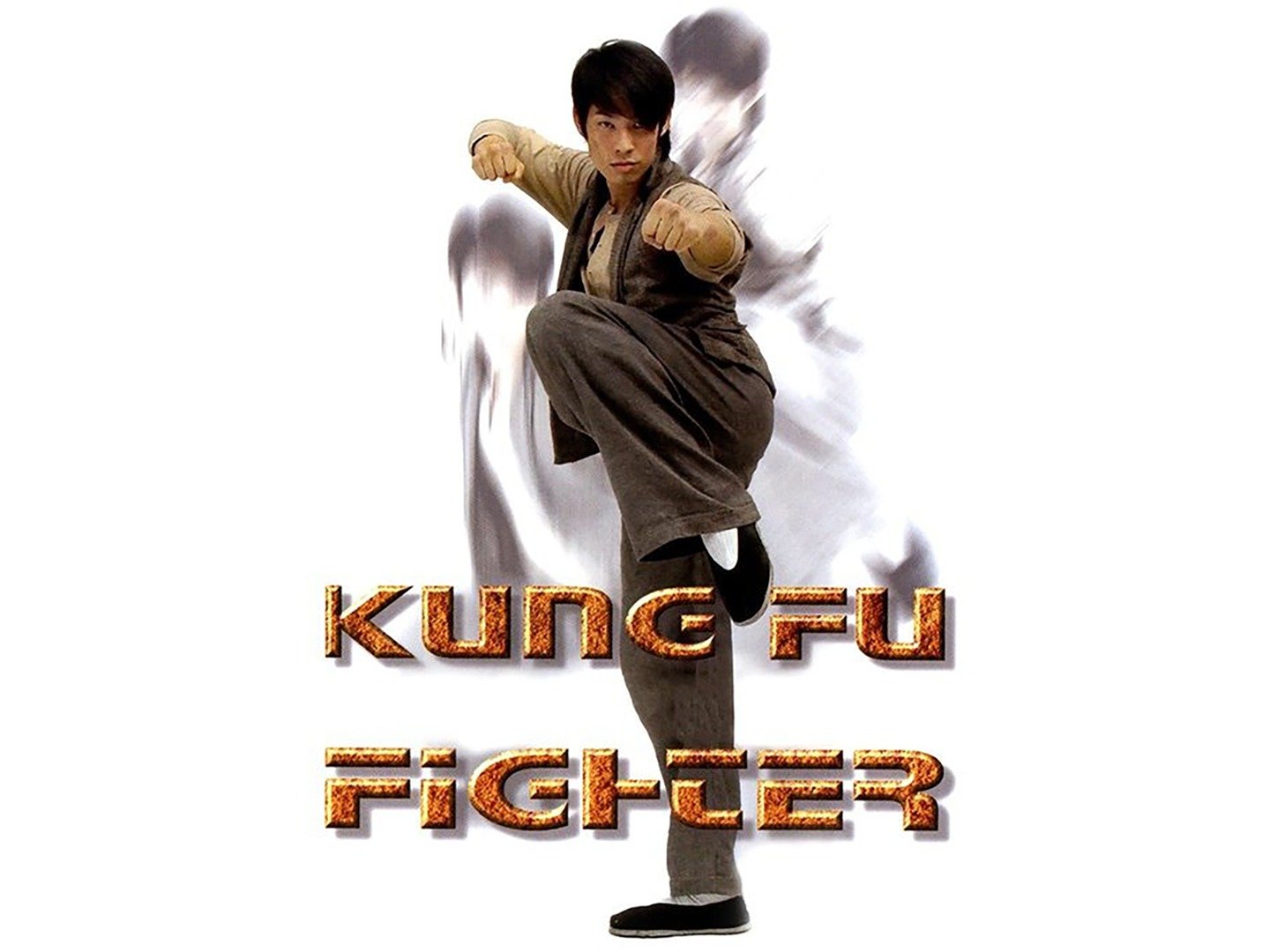kung fu fighter image