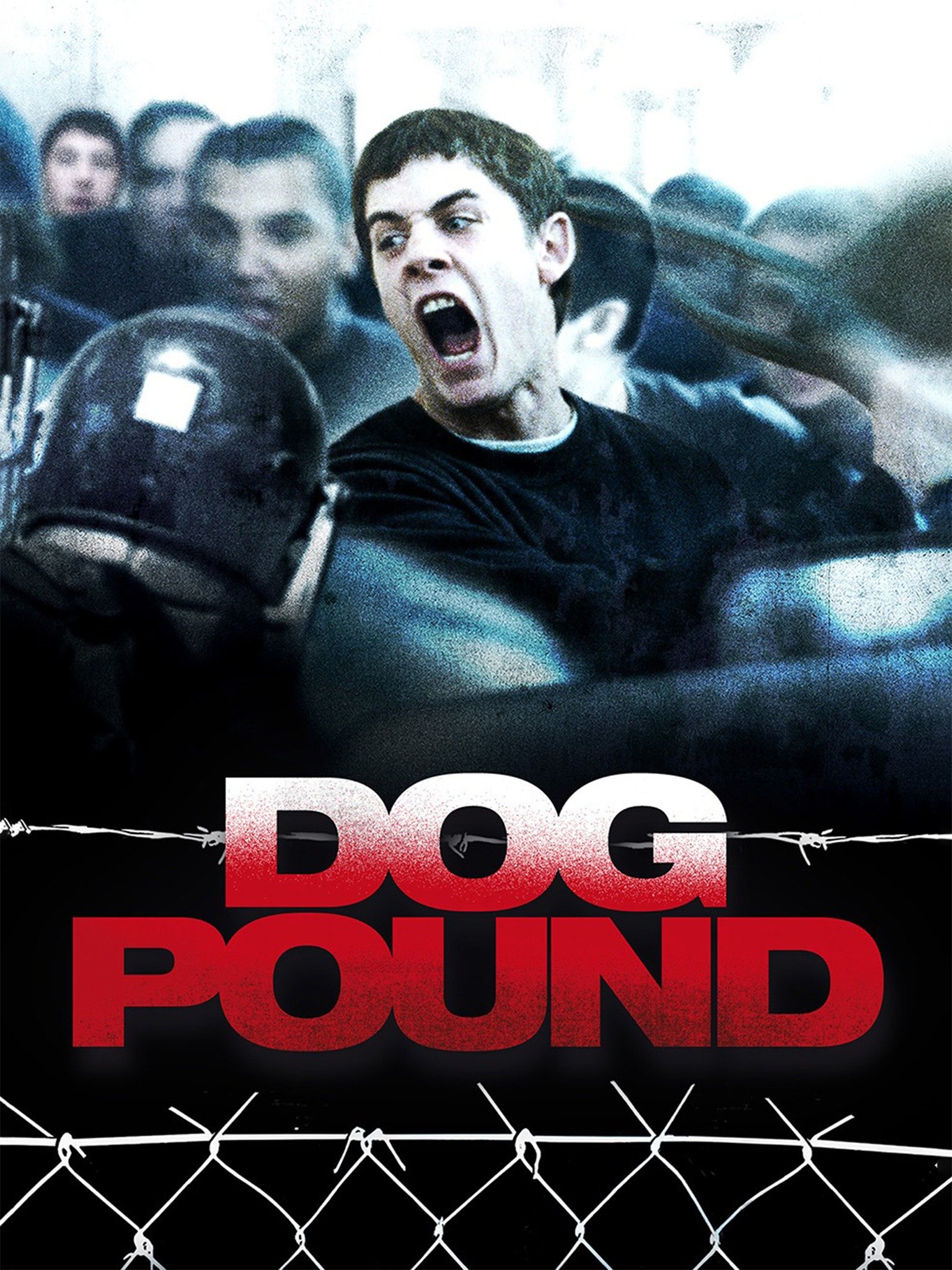 Dog Pound - Rotten Tomatoes
