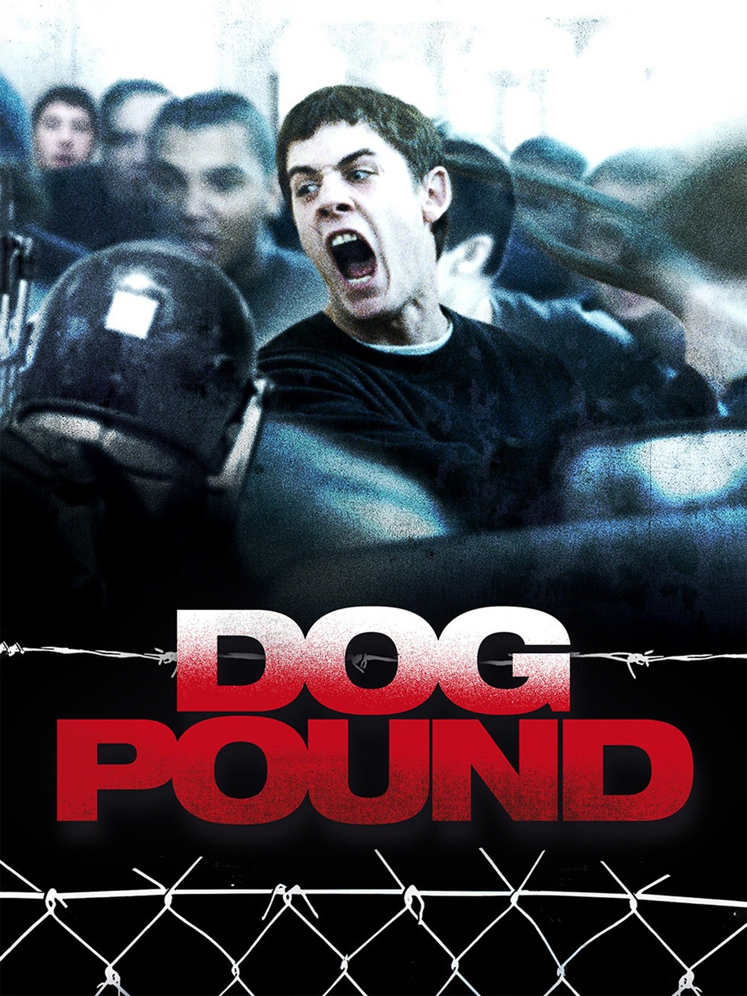 Dog Pound Rotten Tomatoes