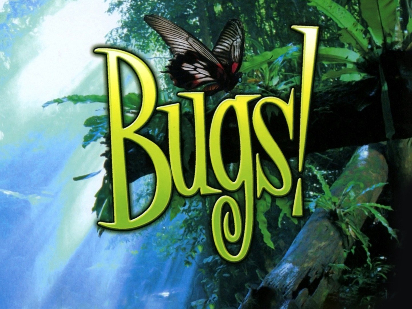 Bugs! (2003) - Rotten Tomatoes