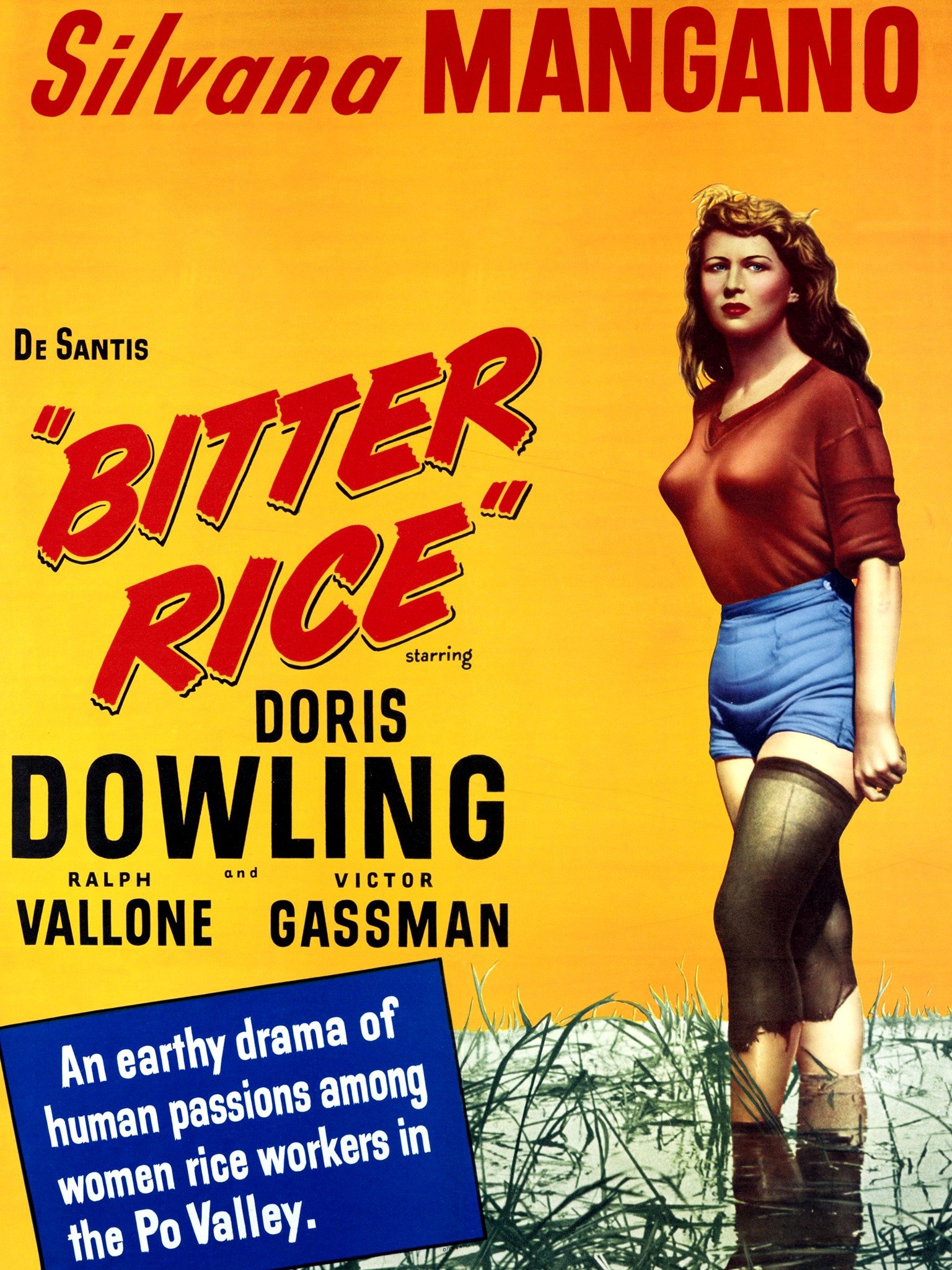 Bitter Rice (1949) Rotten Tomatoes