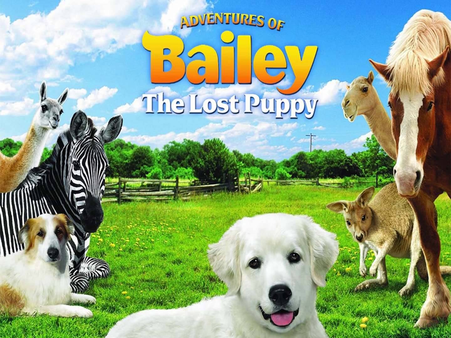 Adventures of Bailey The Lost Puppy (2010) Rotten Tomatoes