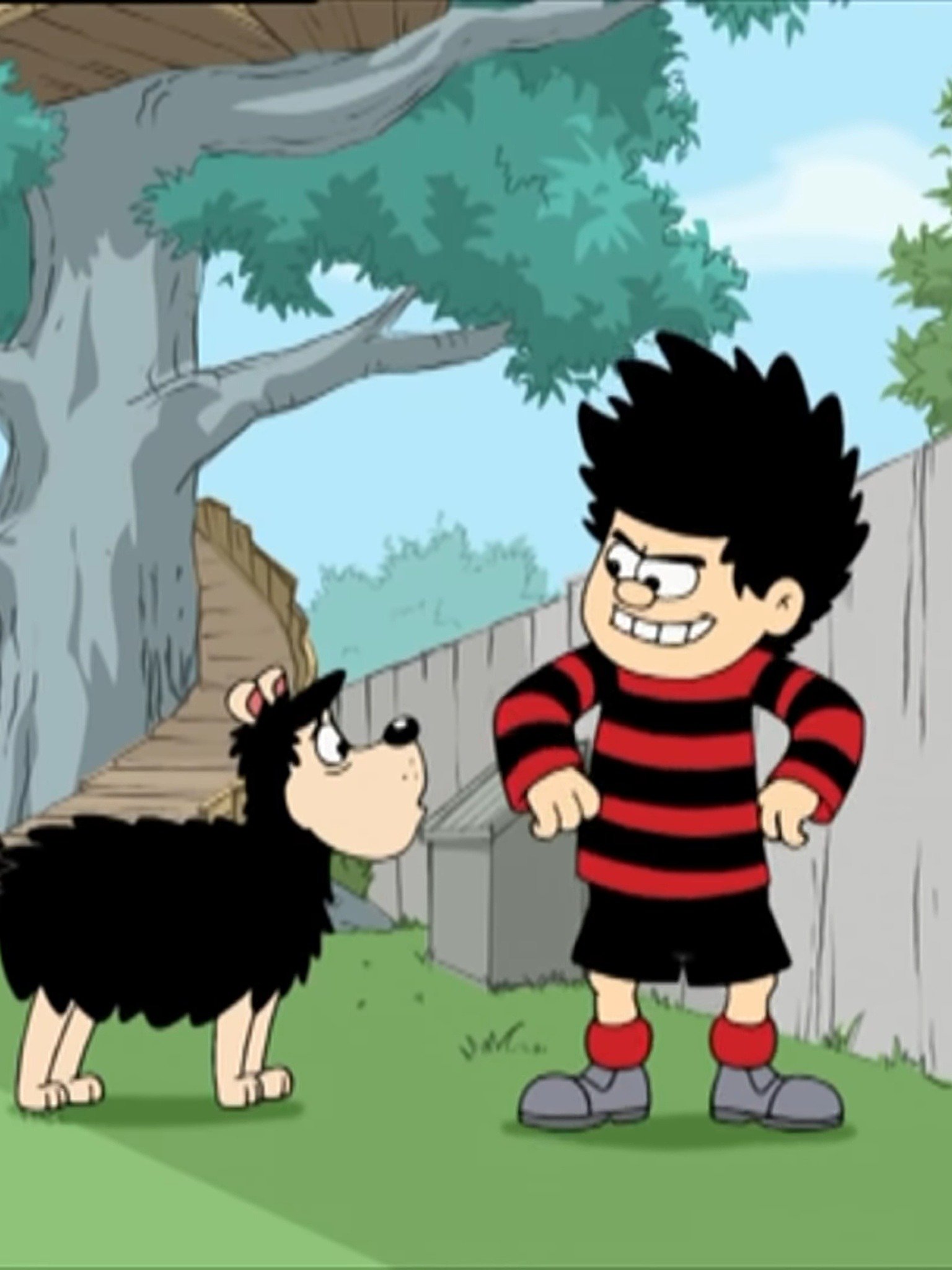 Curtains for Dennis Pictures Rotten Tomatoes