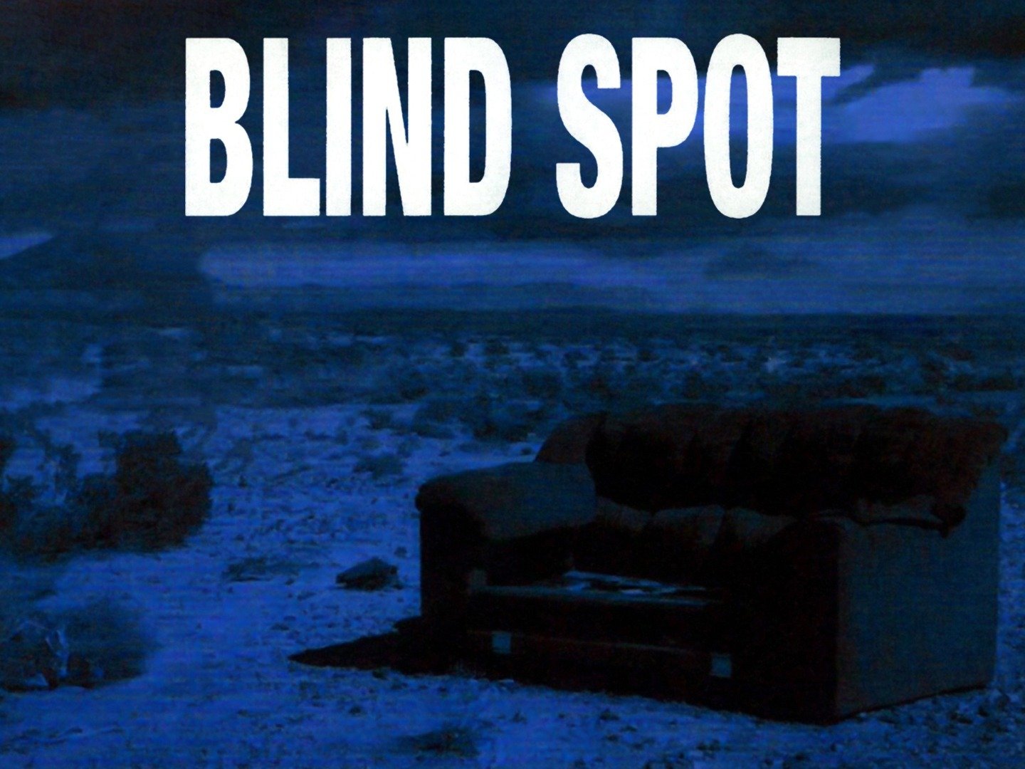 Blind Spot (2008) - Rotten Tomatoes