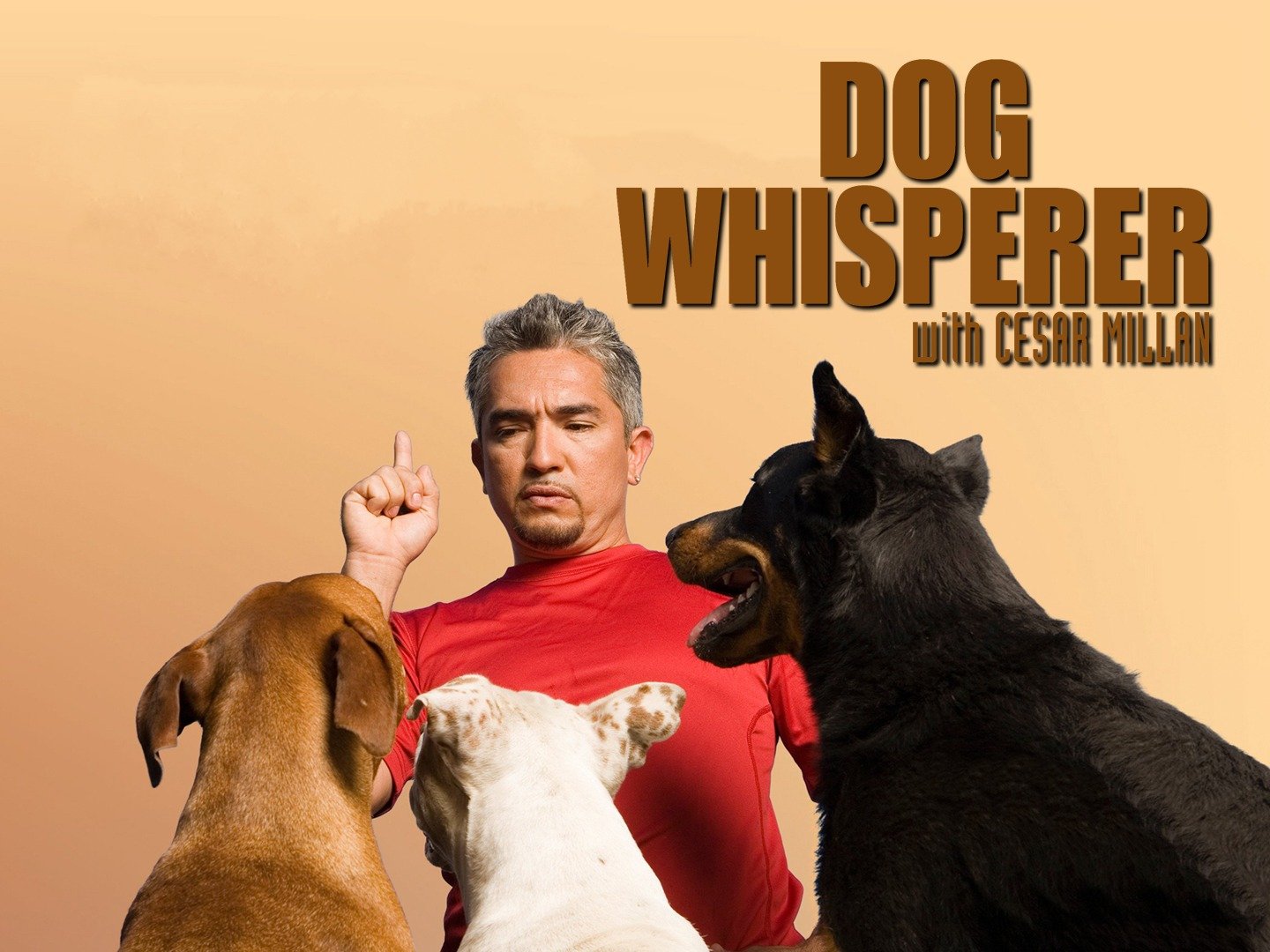 is the dog whisperer show cancelled