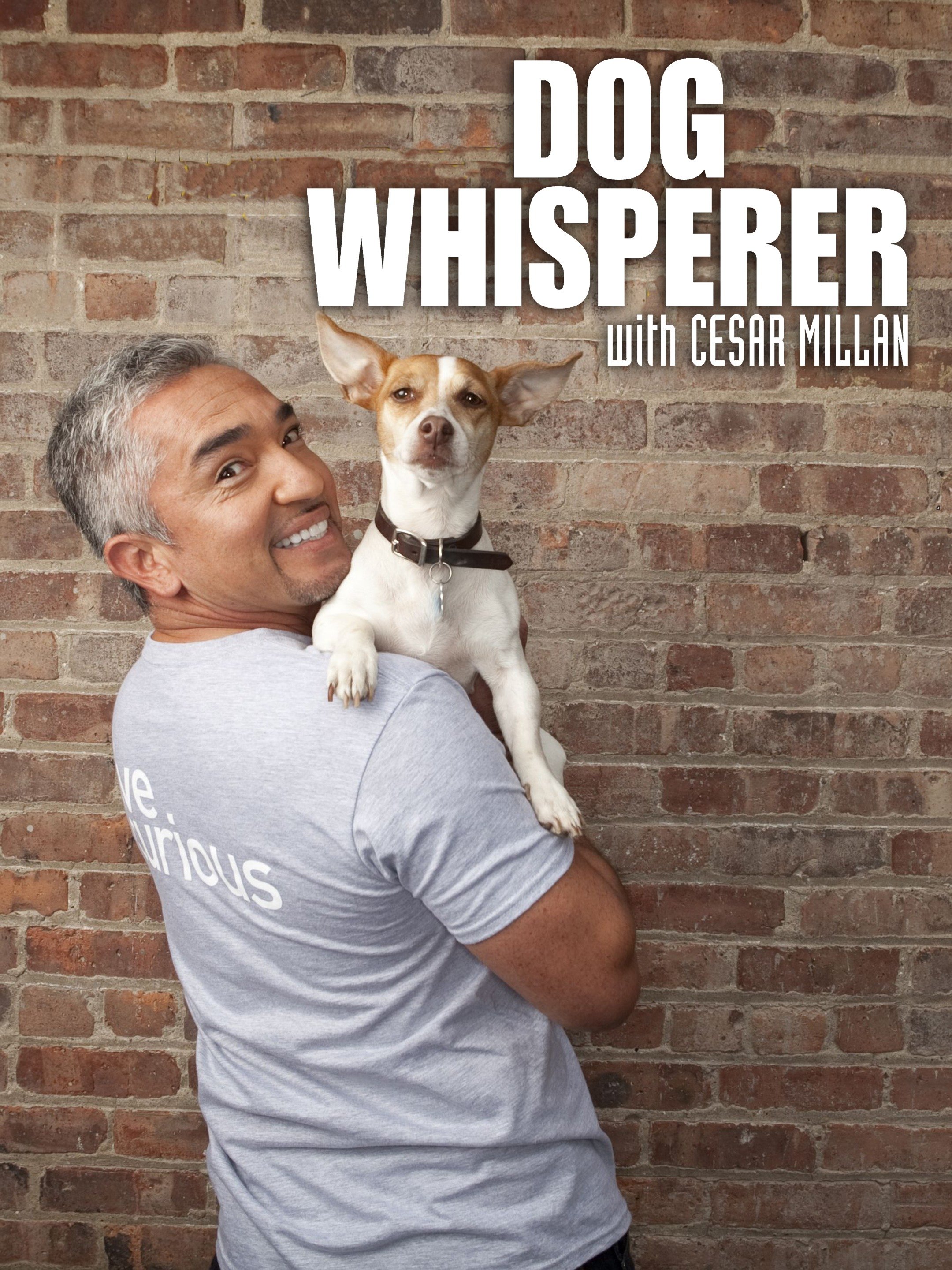 Dog Whisperer - Rotten Tomatoes