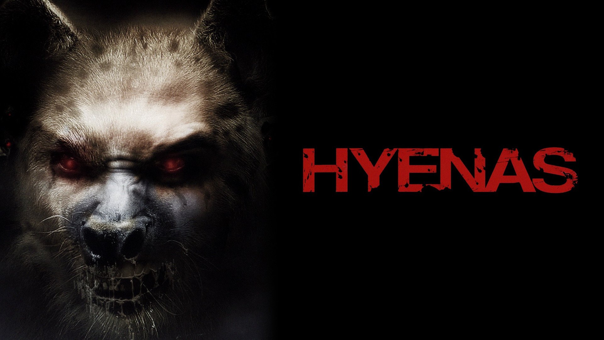 - Trailers & Videos - Rotten Tomatoes