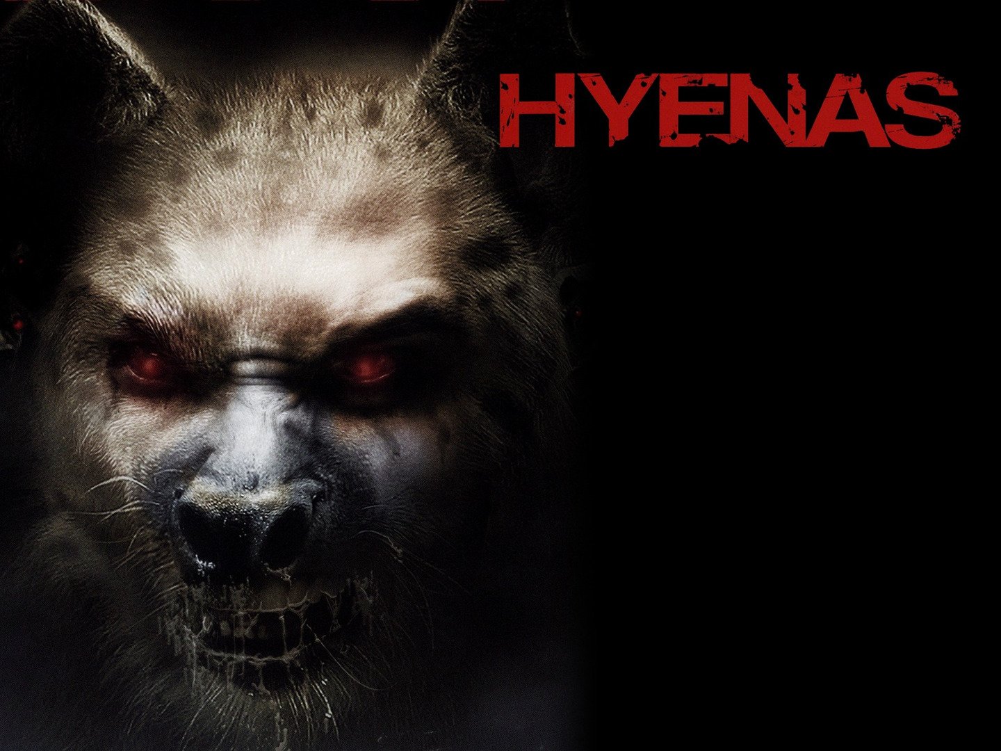 Hyenas 2011 Rotten Tomatoes
