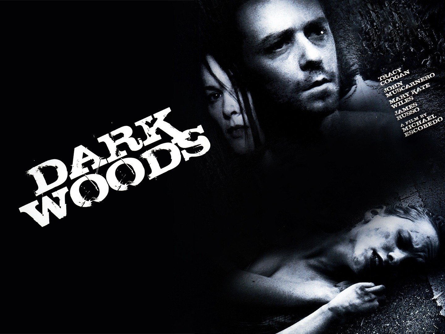 in the dark dark woods movie