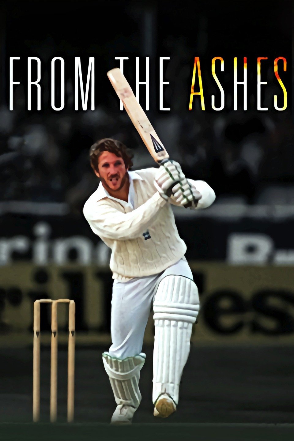 From the Ashes Rotten Tomatoes