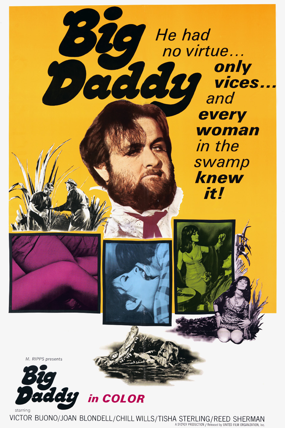 Big Daddy Pictures Rotten Tomatoes big-daddy-pictures-rotten-tomatoes