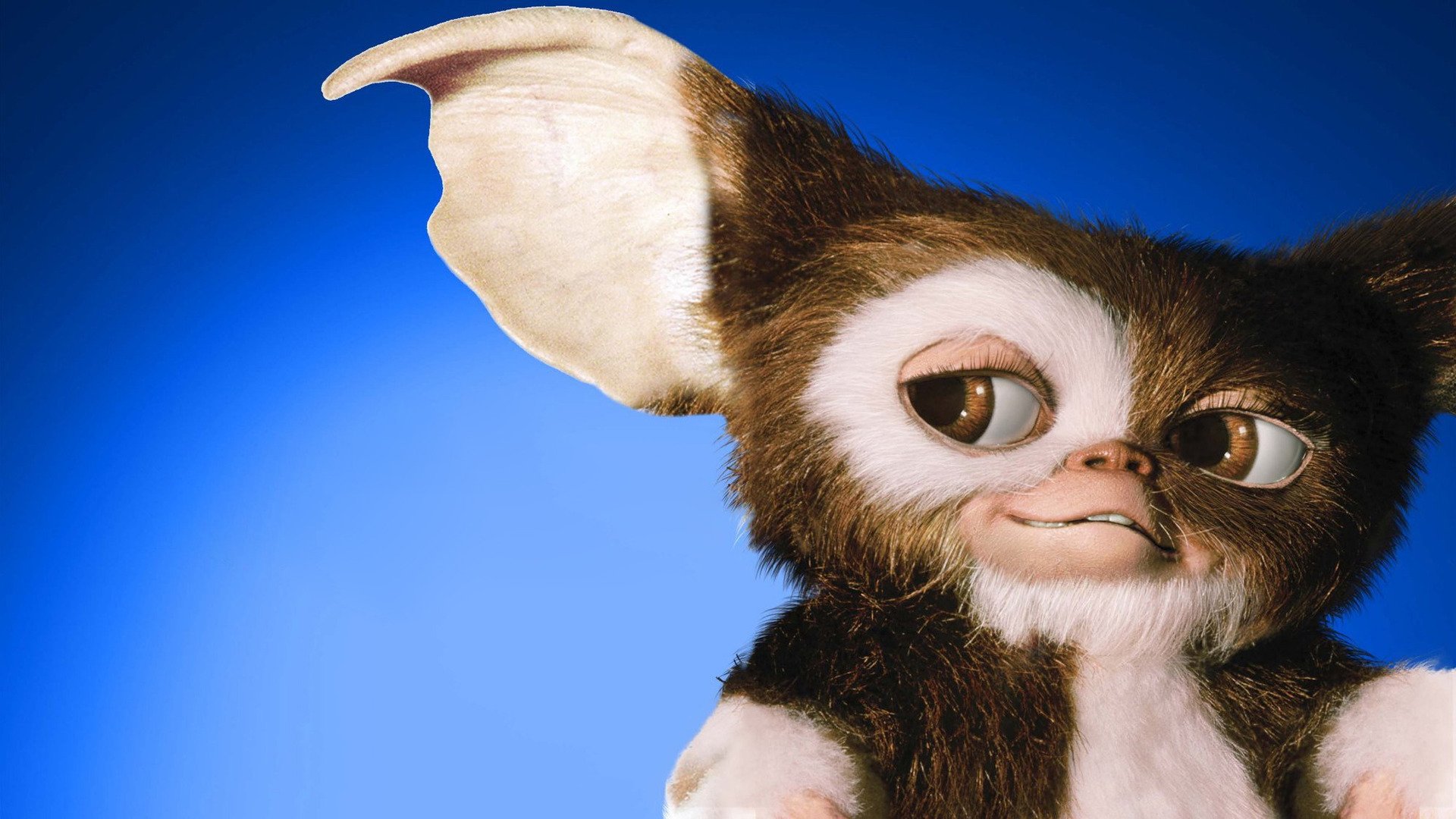 Gizmo Gremlins Movie