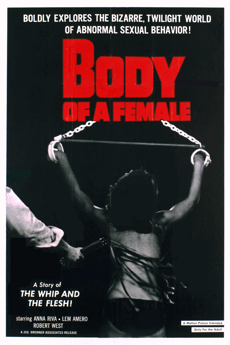 Body of a Female Pictures Rotten Tomatoes