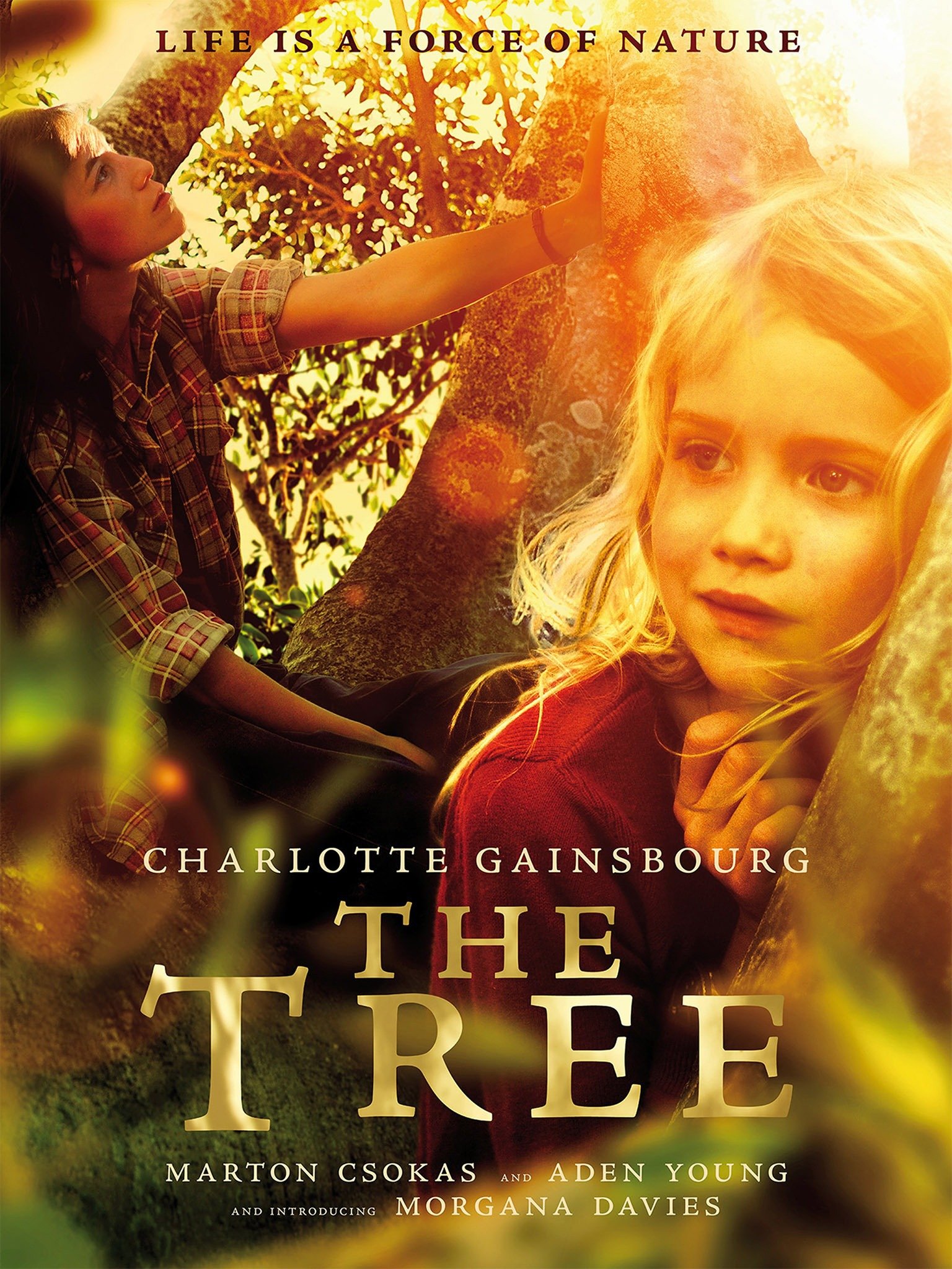 The Tree Movie Reviews