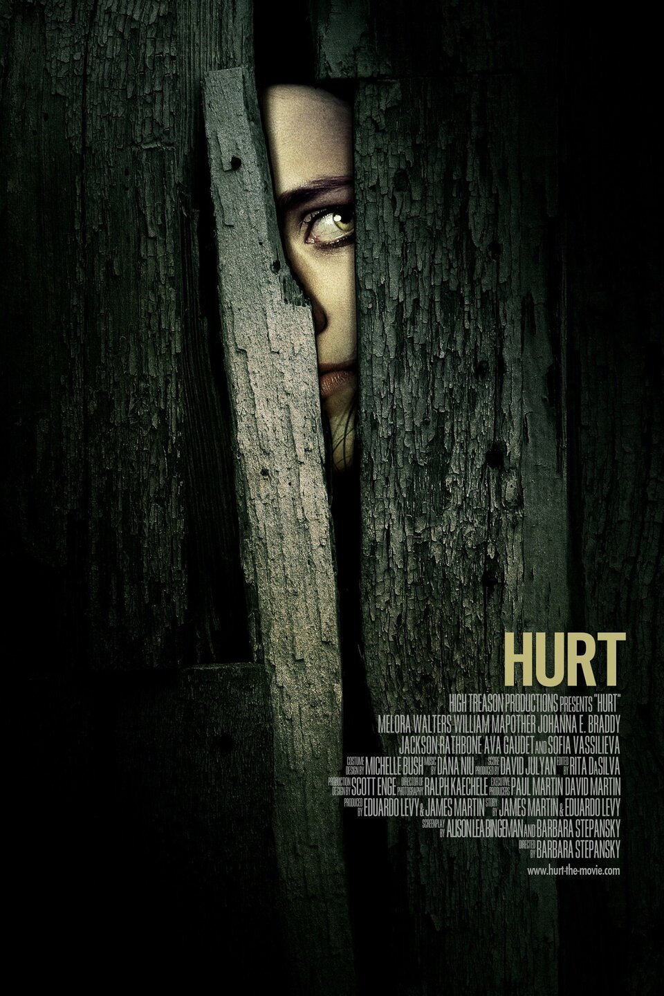 Hurt Pictures Rotten Tomatoes