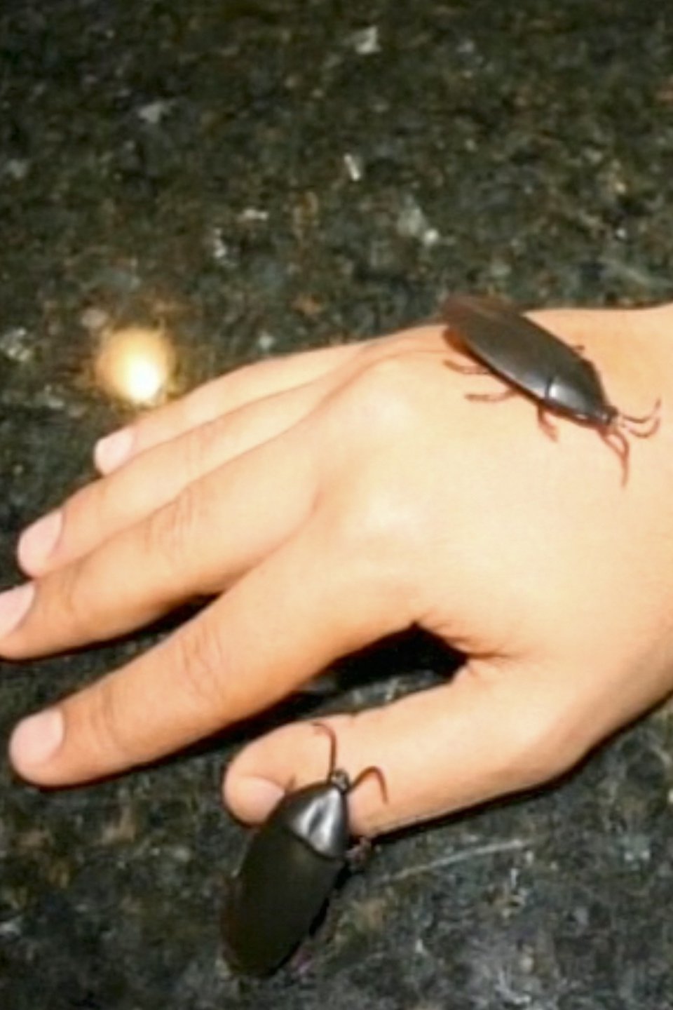 World's Smartest Inventions 5 Pictures Rotten Tomatoes