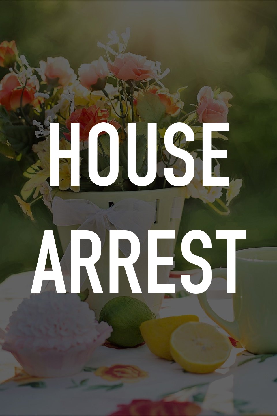 House Arrest Rotten Tomatoes