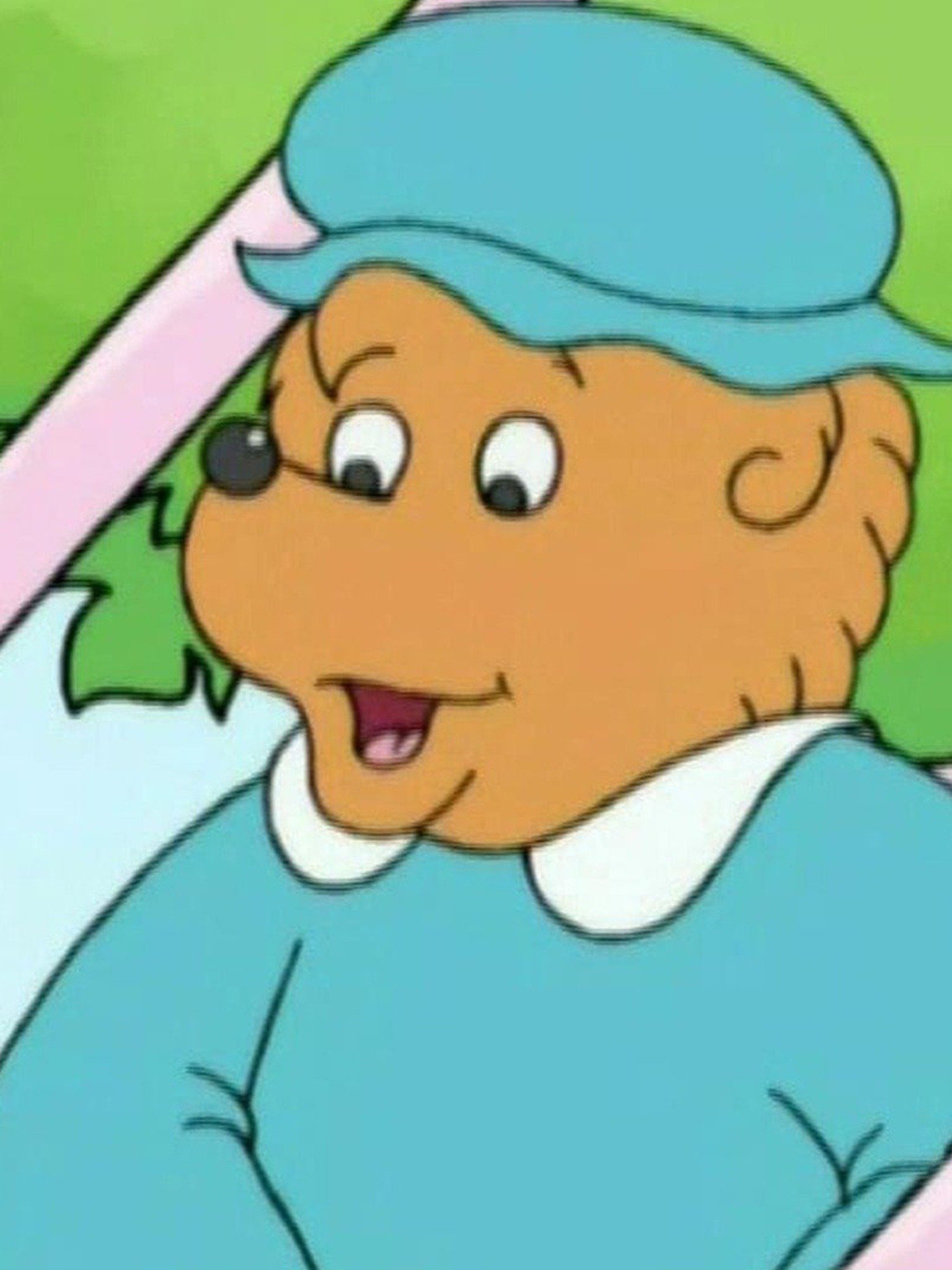 The Berenstain Bears - Rotten Tomatoes