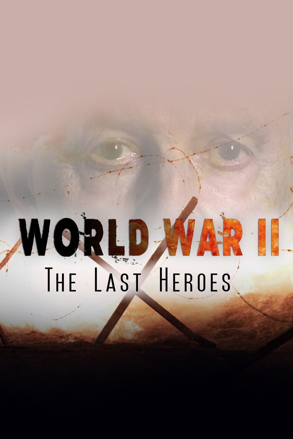 World War II: The Last Heroes - Rotten Tomatoes