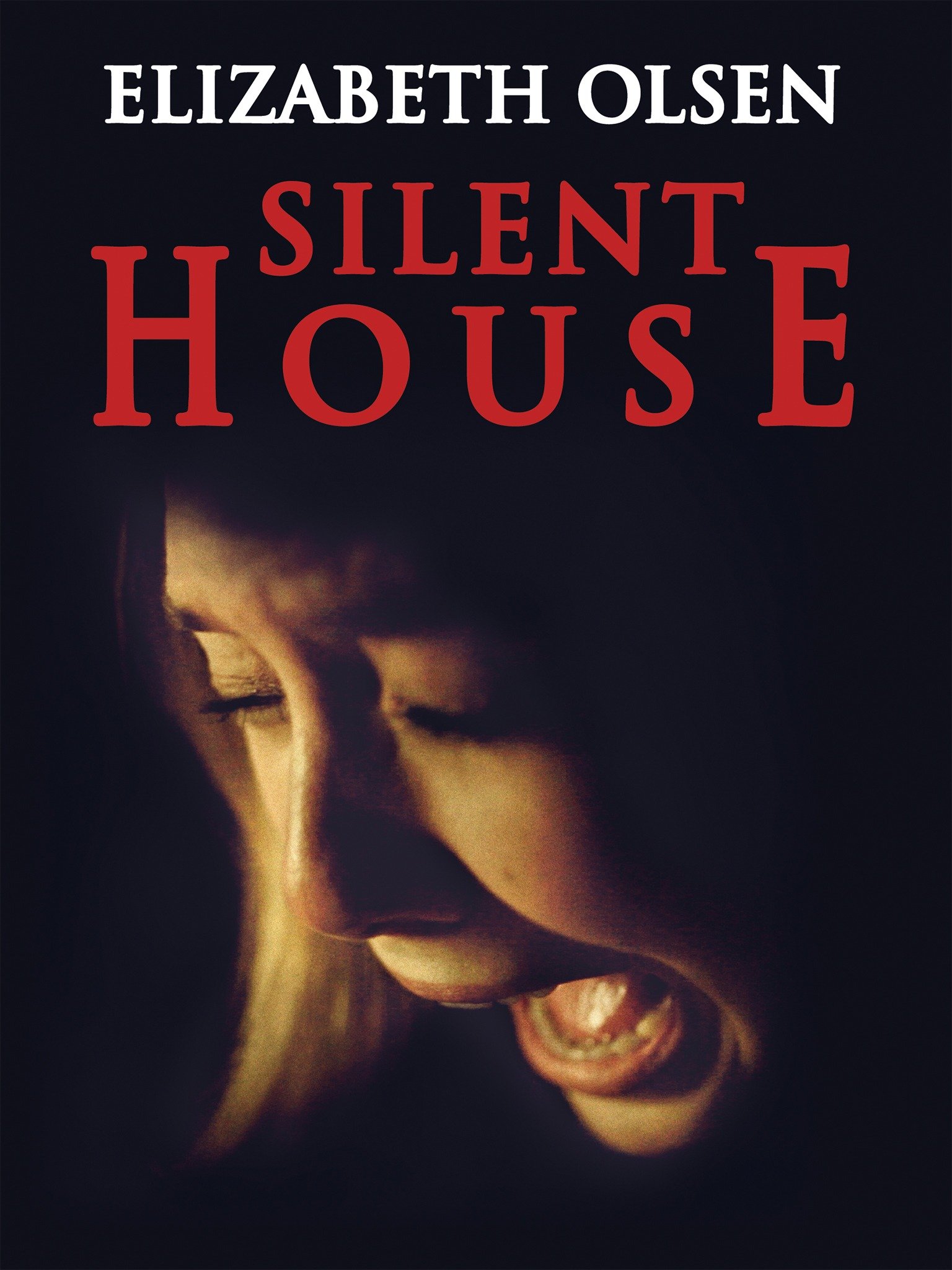 Silent House Movie Reviews