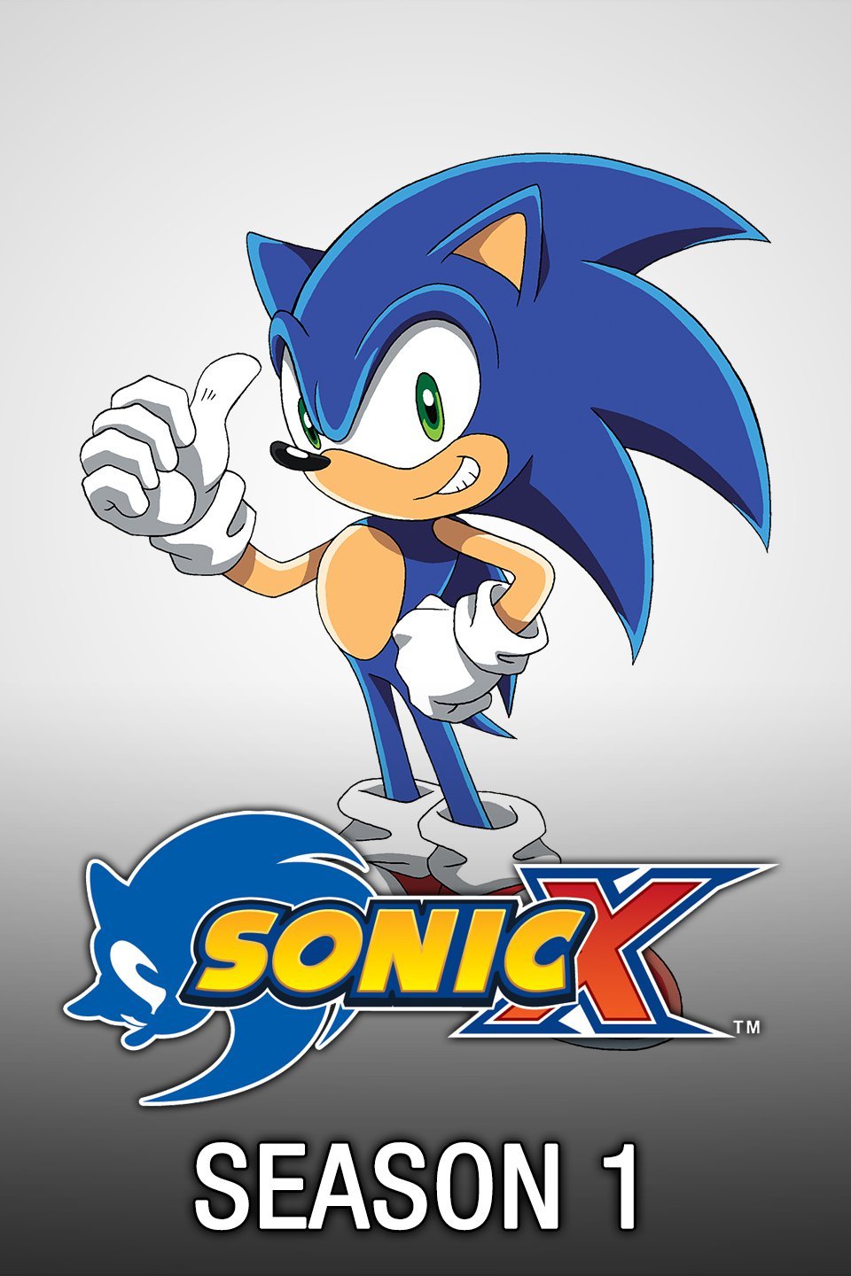 oosters Onzuiver ego Sonic X - Rotten Tomatoes