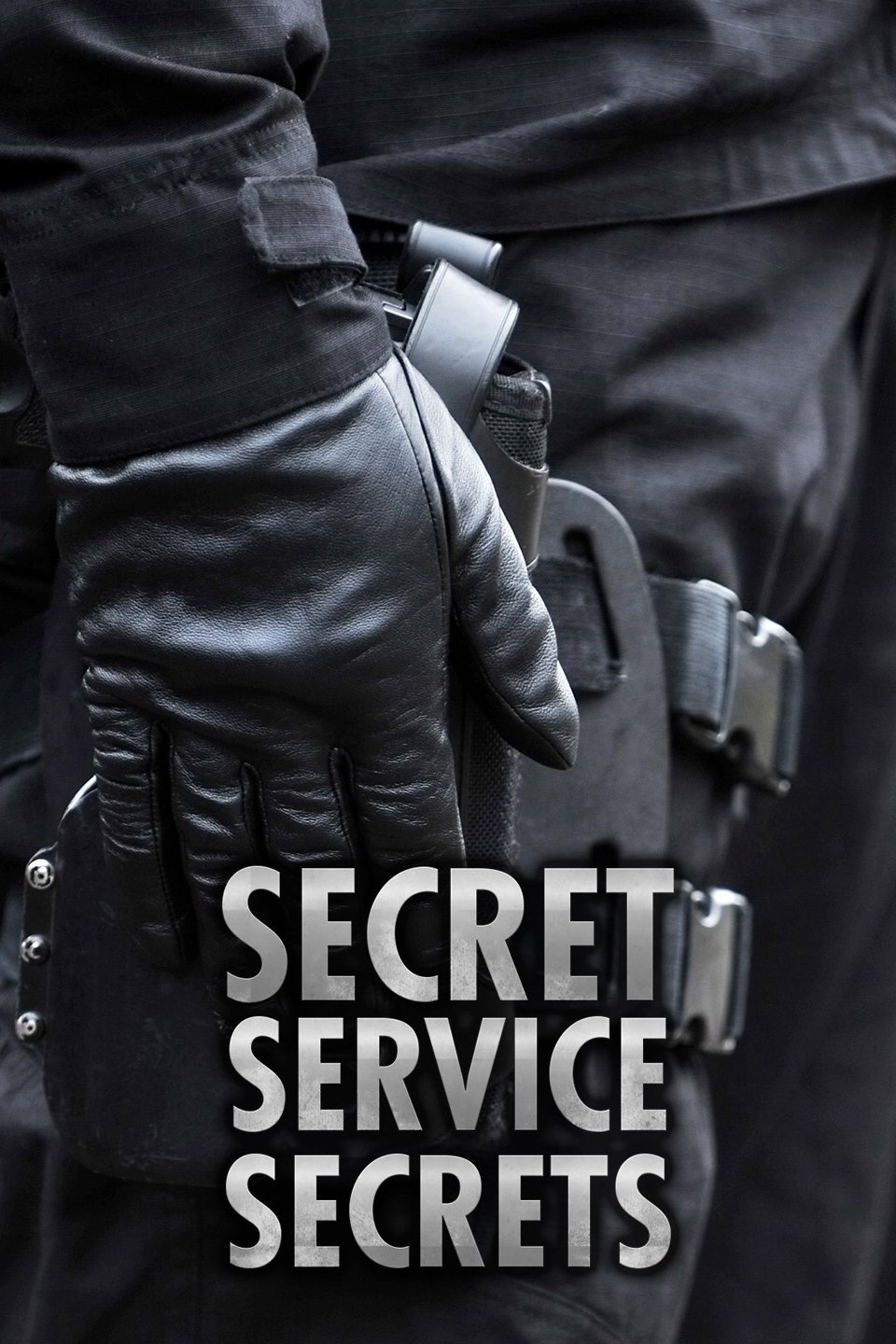 Secret Service Secrets Pictures Rotten Tomatoes