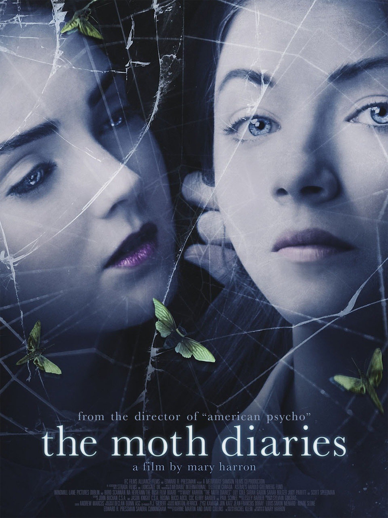 the moth diaries by rachel klein