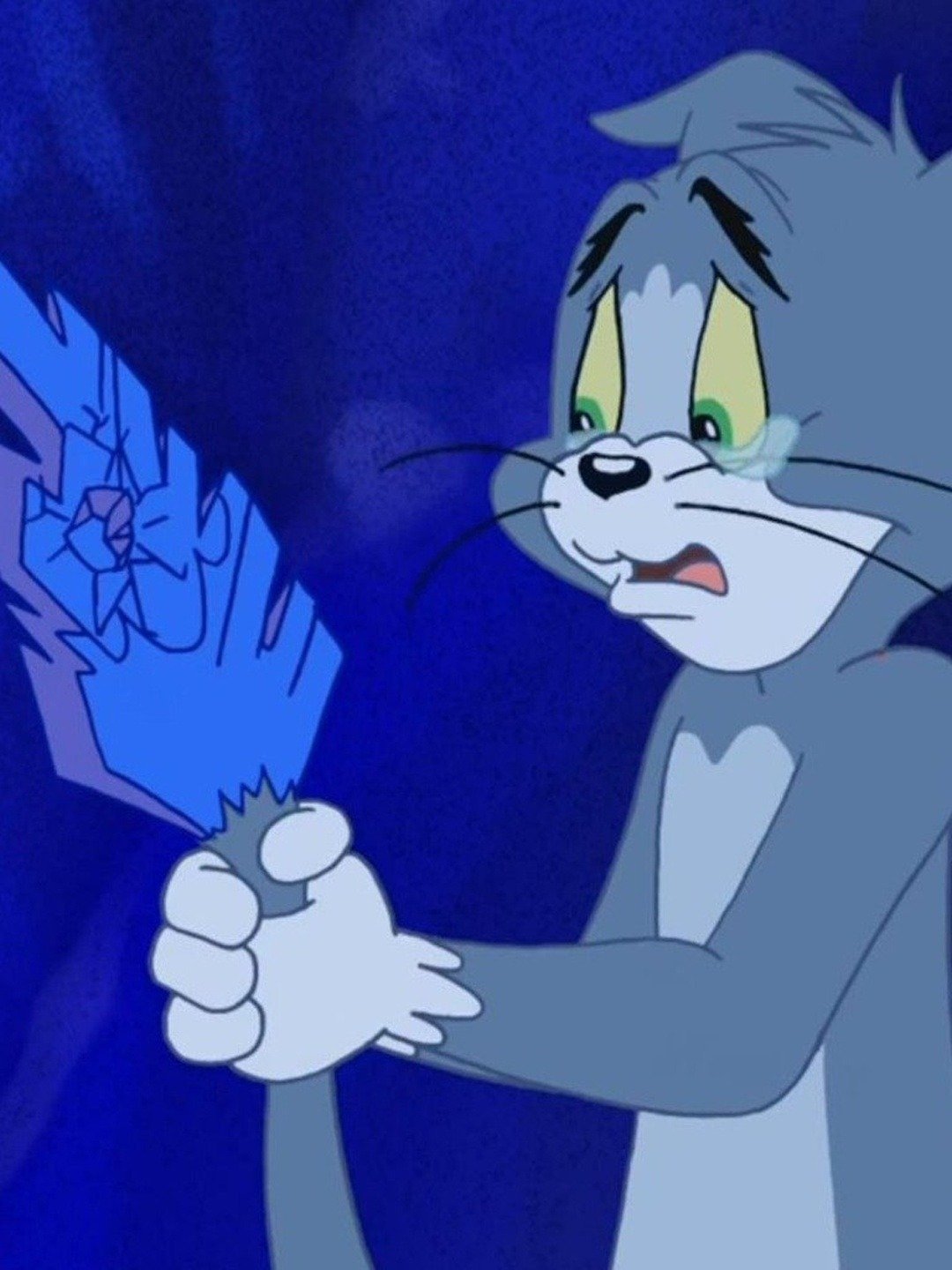 Tom and Jerry Tales - Rotten Tomatoes