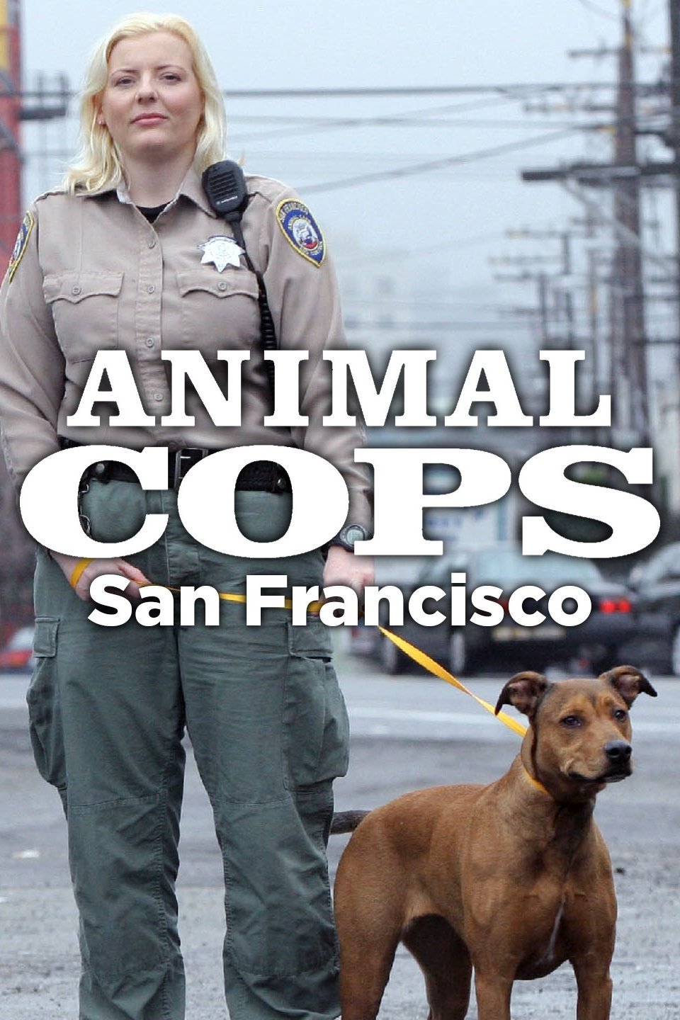 Animal Cops: San Francisco - Rotten Tomatoes