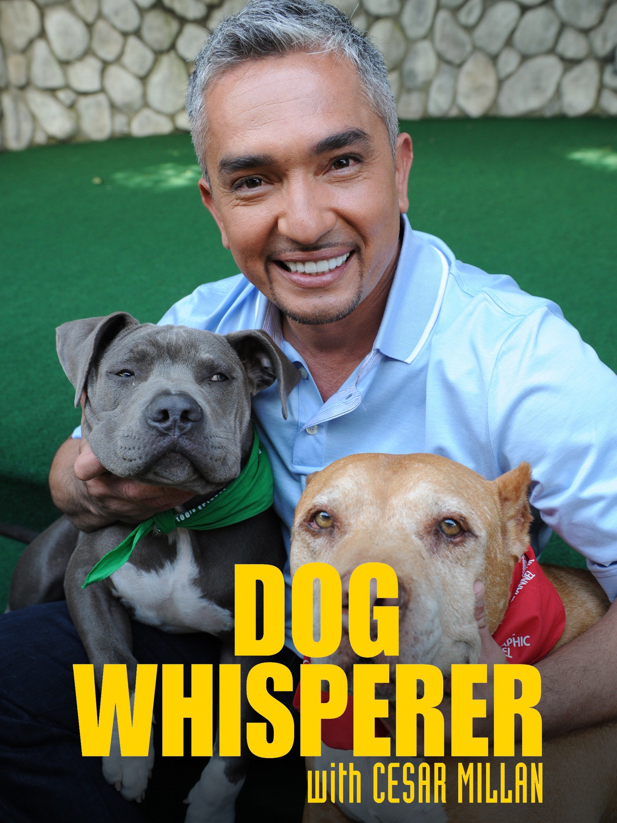 Dog Whisperer - Rotten Tomatoes