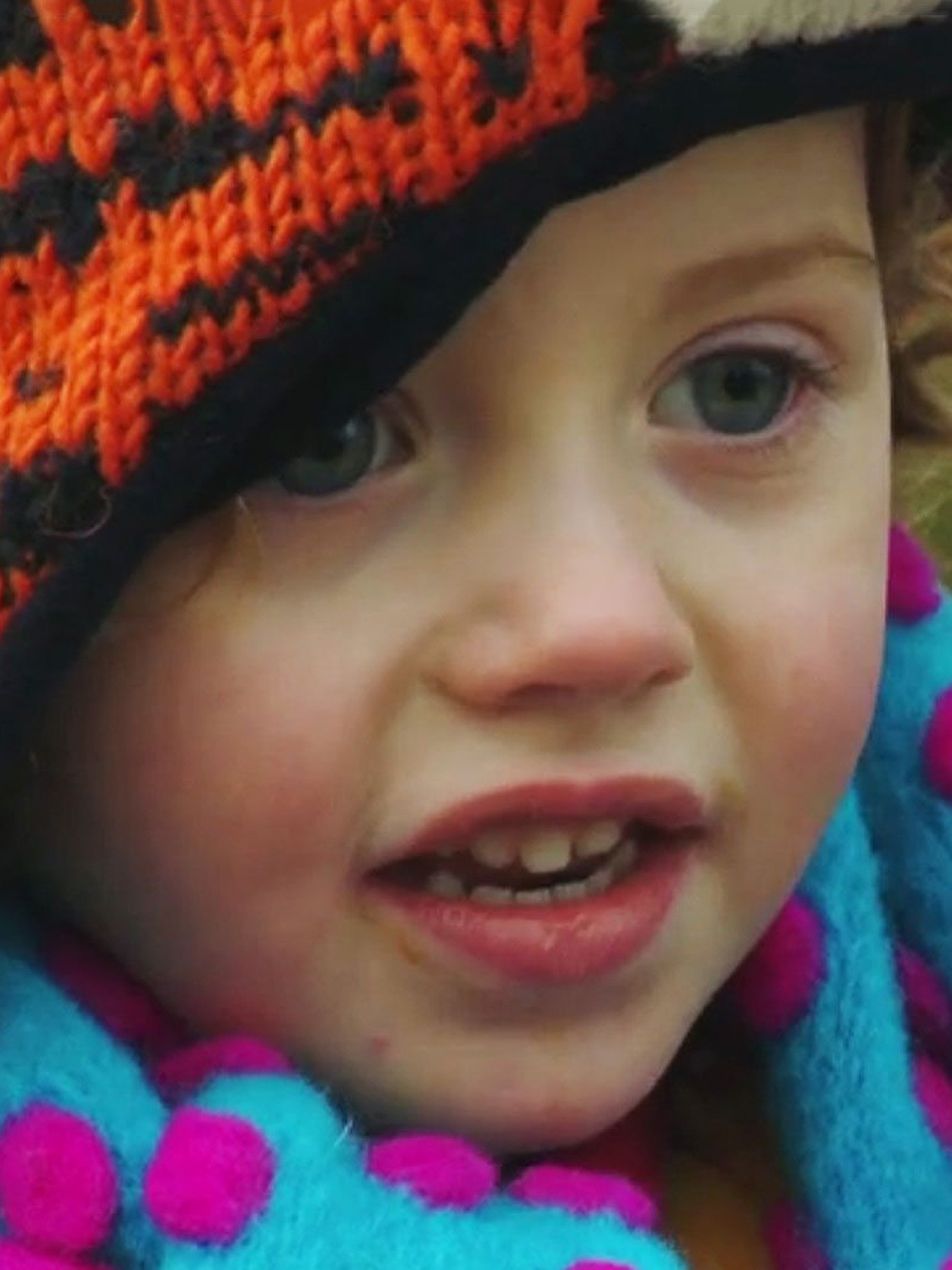 The Dog Pictures Rotten Tomatoes